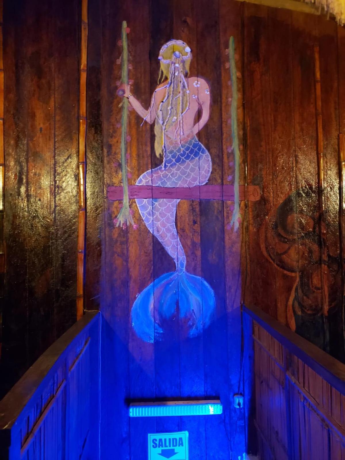Casa surf arrels