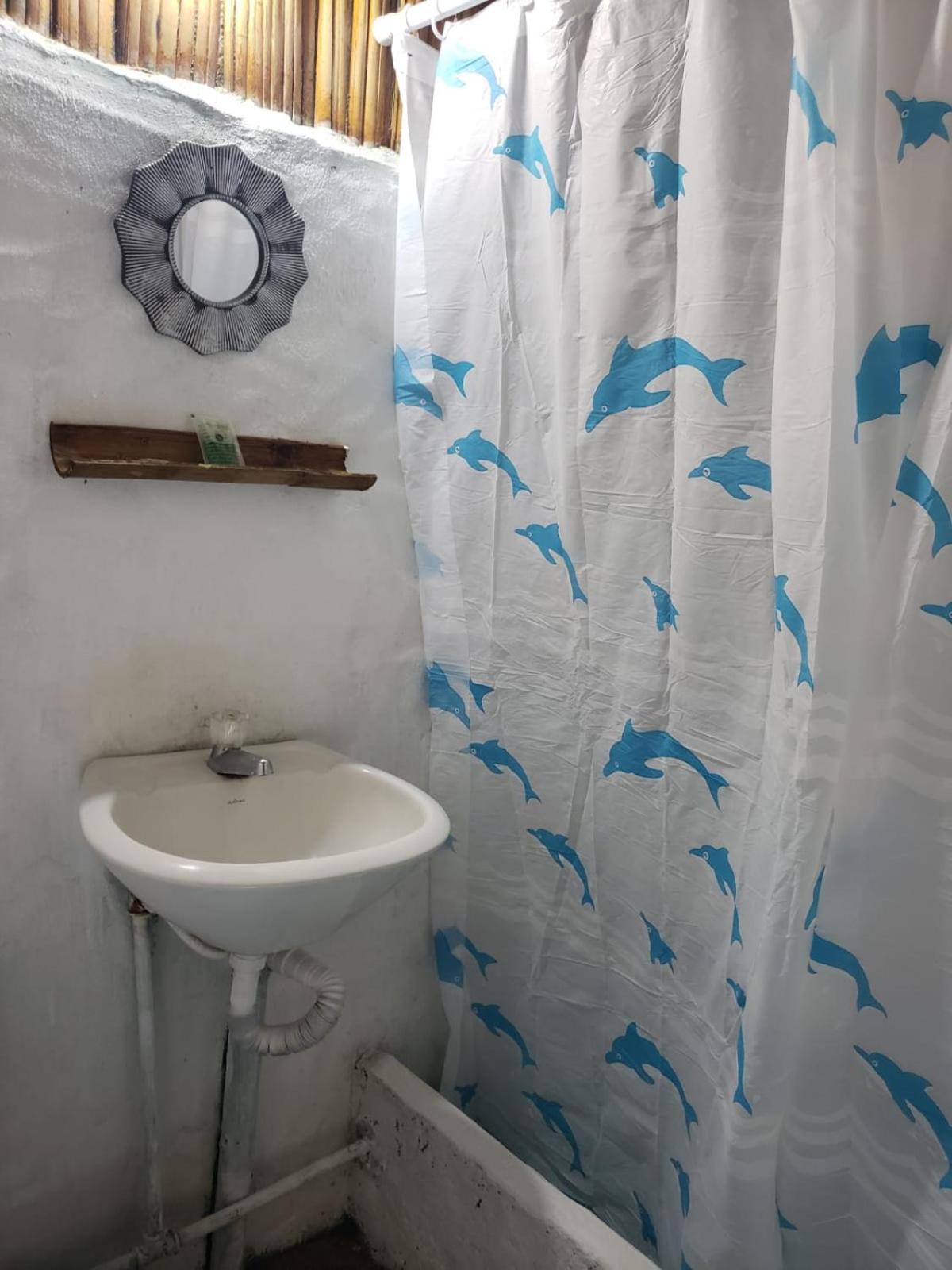 Casa surf arrels