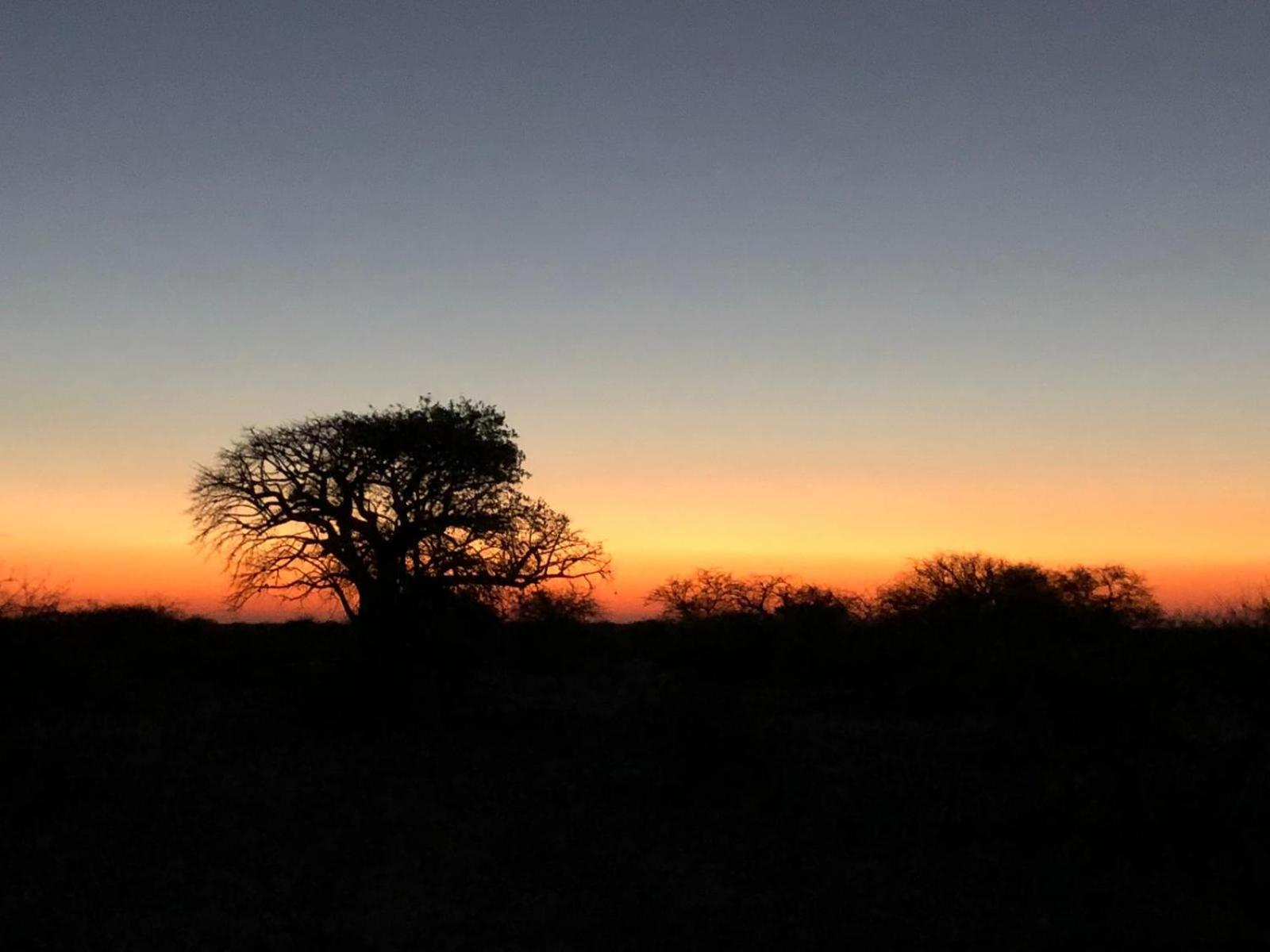 Chobe Hideaway
