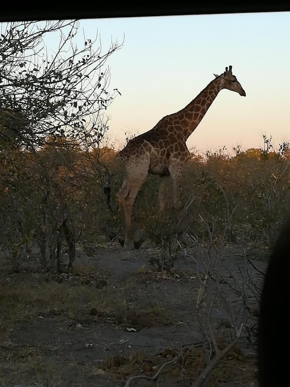 Chobe Hideaway