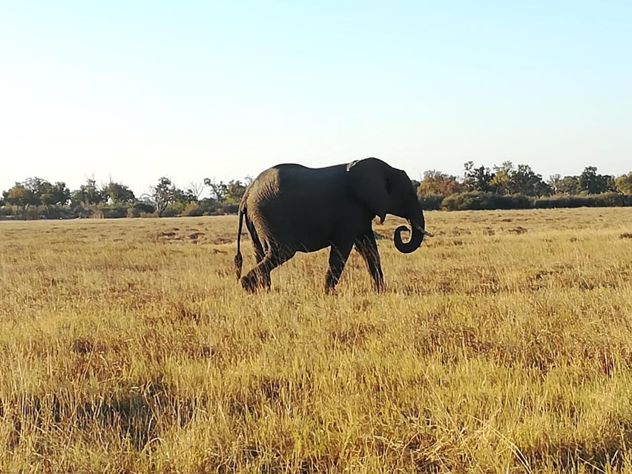 Chobe Hideaway