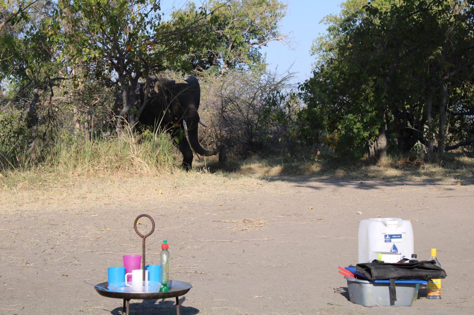 Chobe Hideaway