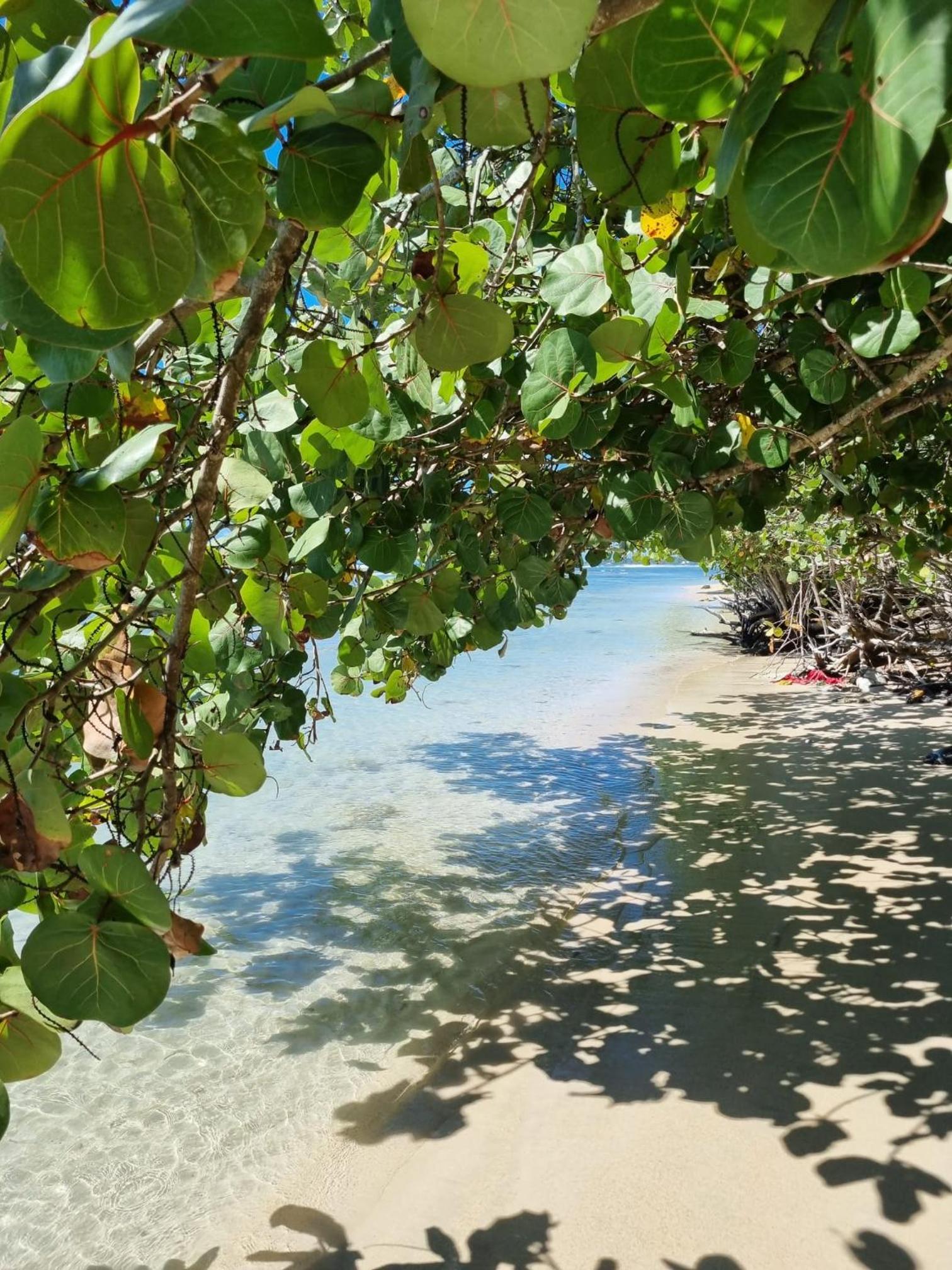 Esmeralda67 Tamarindo