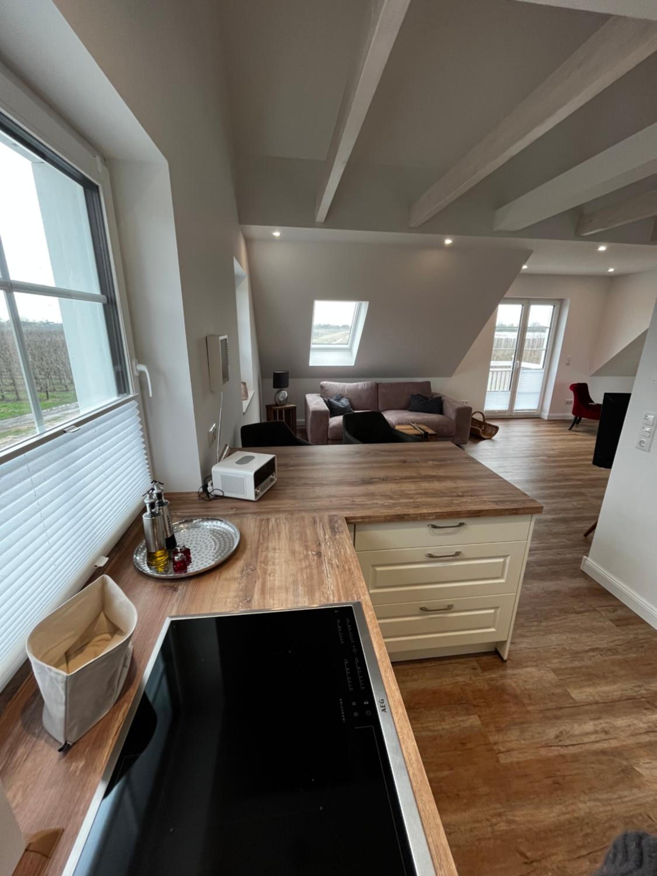 Muggelhuus das Loft mit Elbdeichblick im Alten Land und mit Wallbox