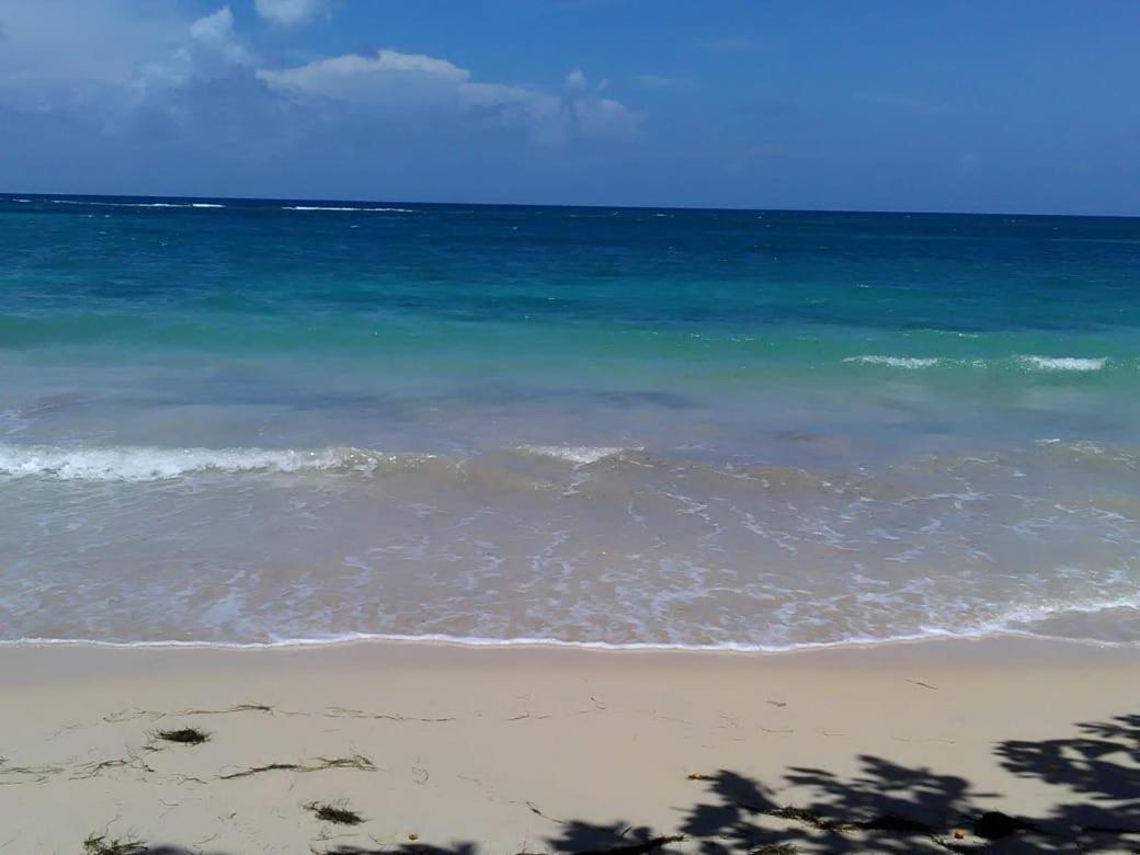 Port Antonio Brian's Beach House