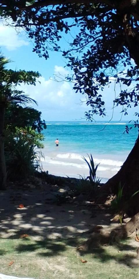Port Antonio Brian's Beach House
