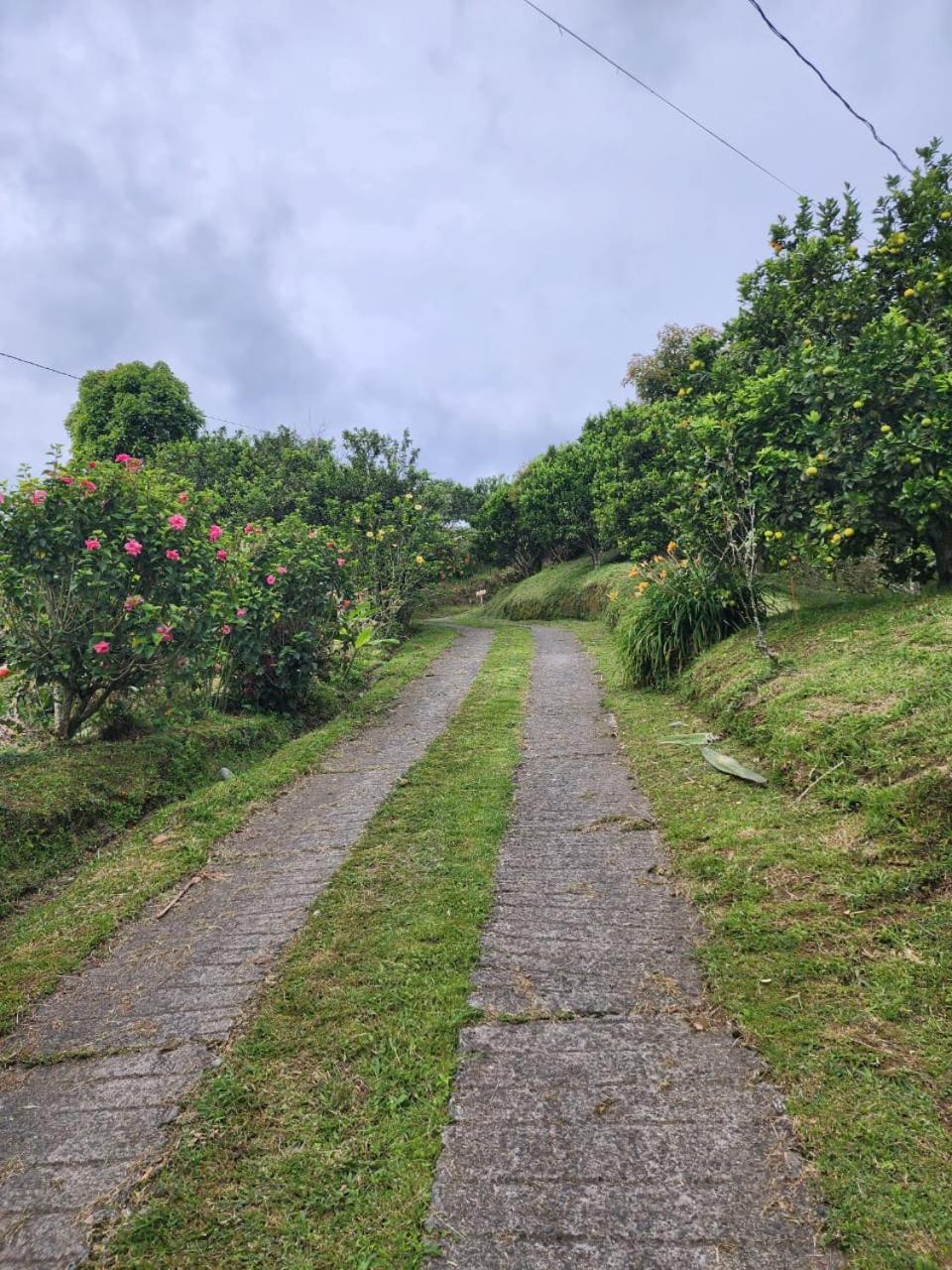 Casa Mirador Alojamiento Campestre