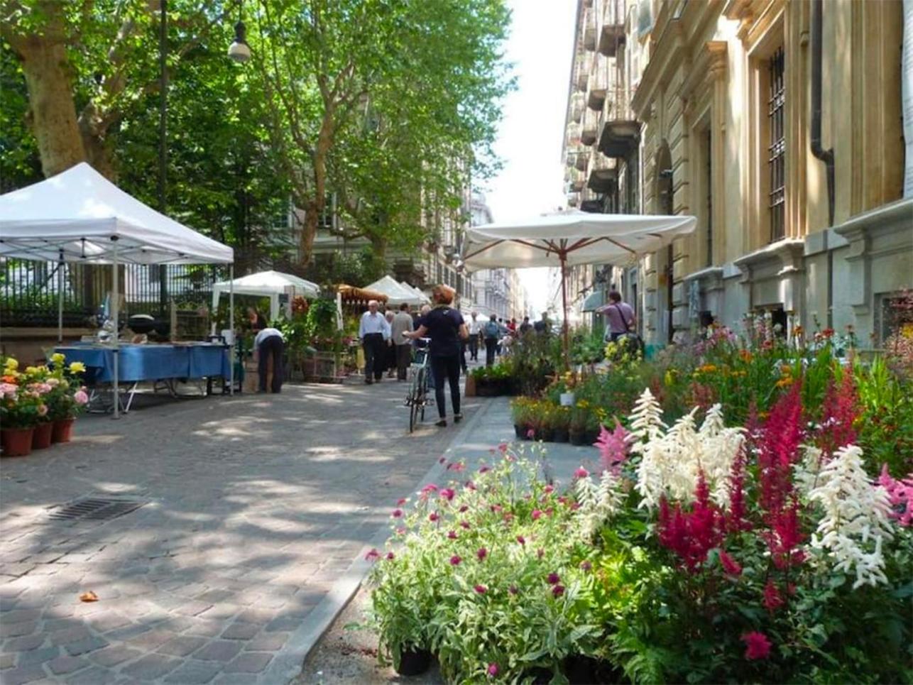 Comfort Zone-charming, quiet, historic center