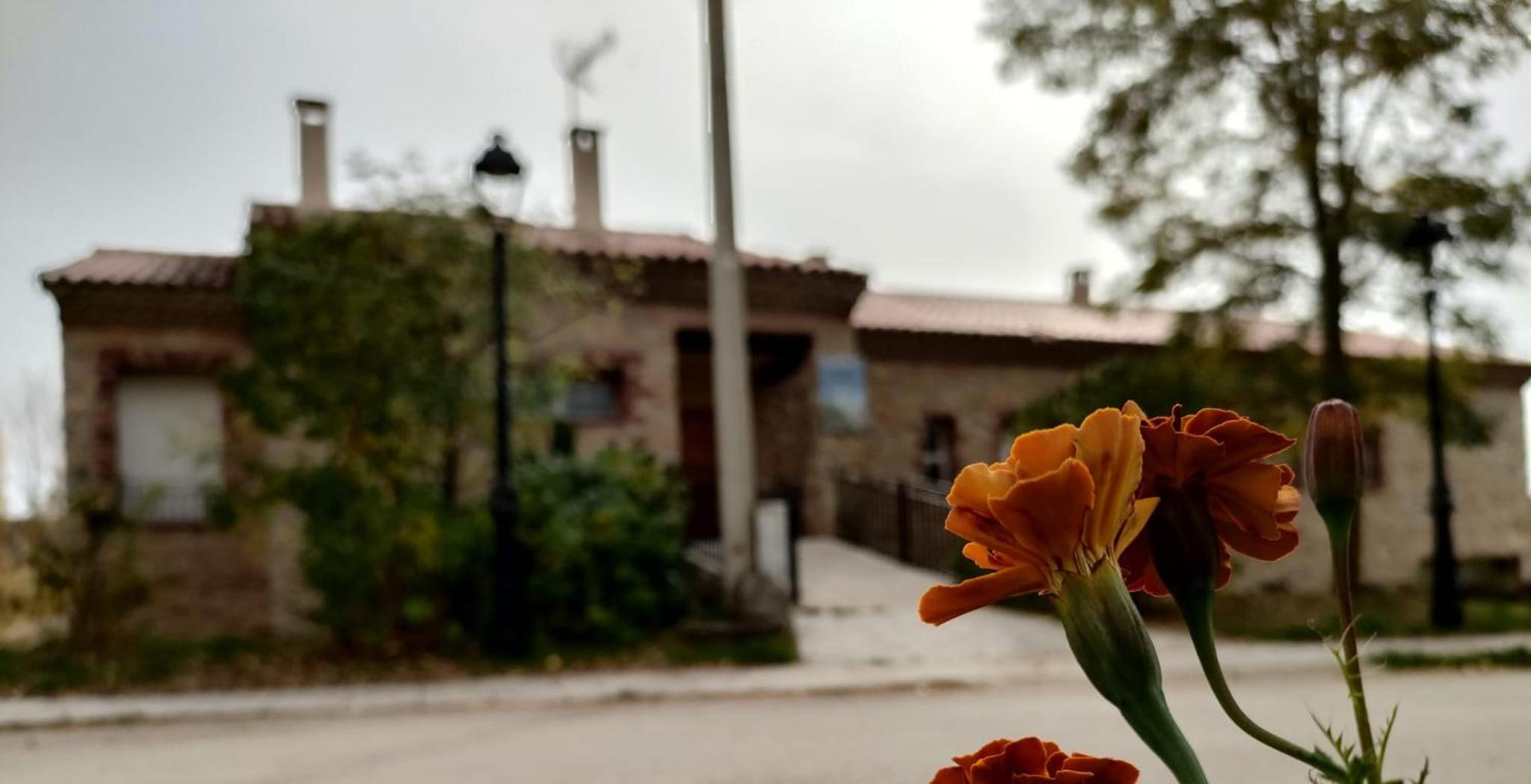 Casa Rural Cuevas de Longarza