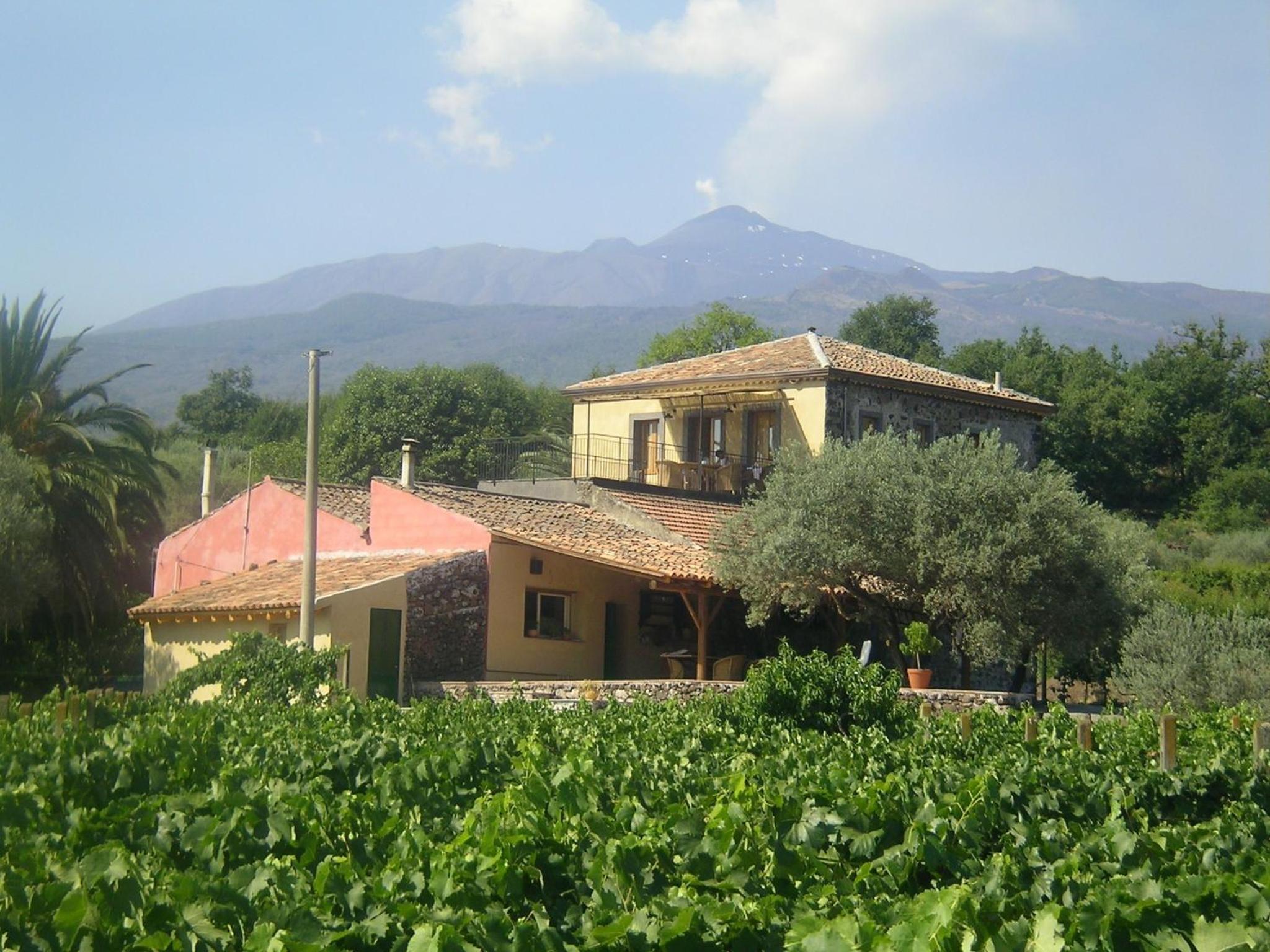 Tenuta Madonnina view 5