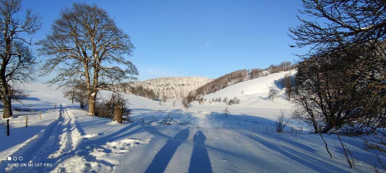 Holiday Home Moldava