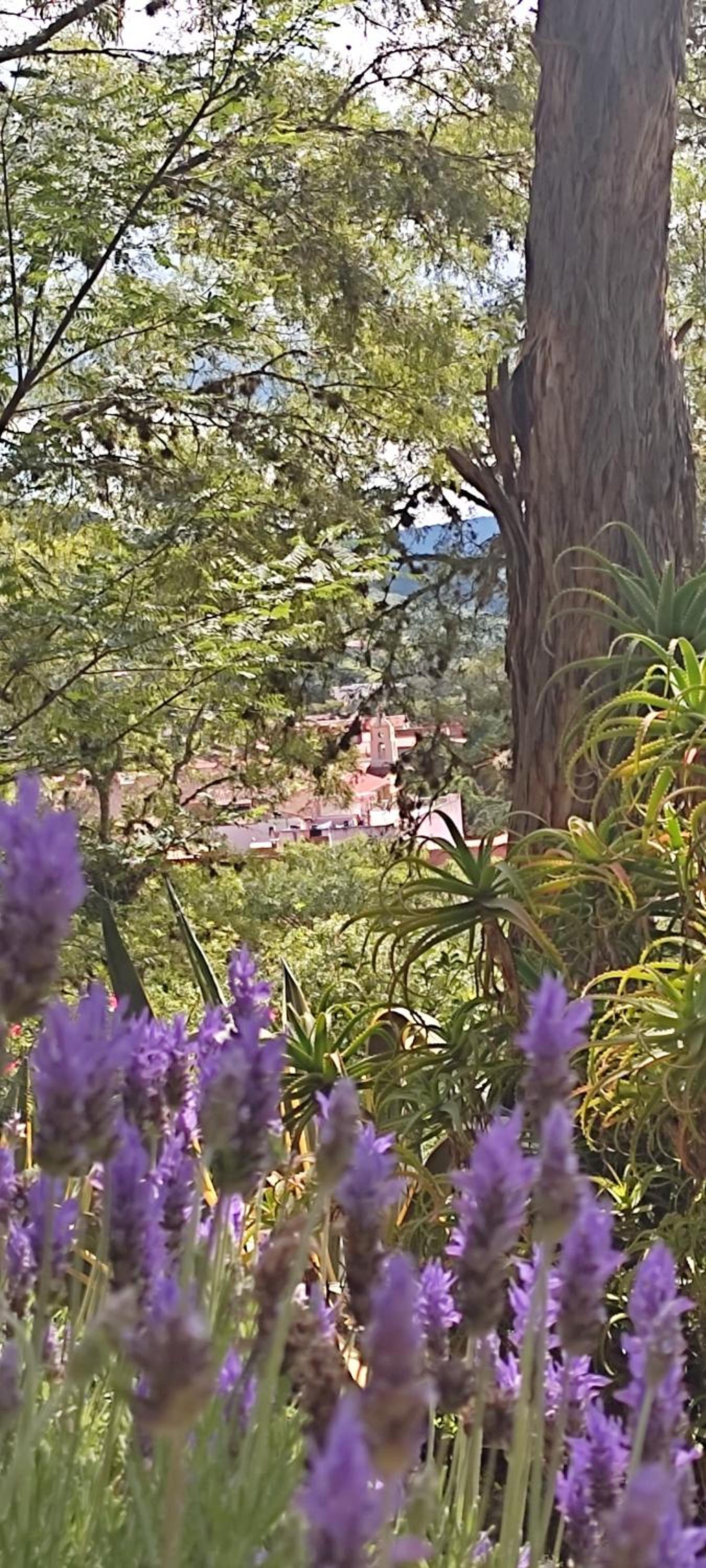 La Vista - Un lugar de Ensueño