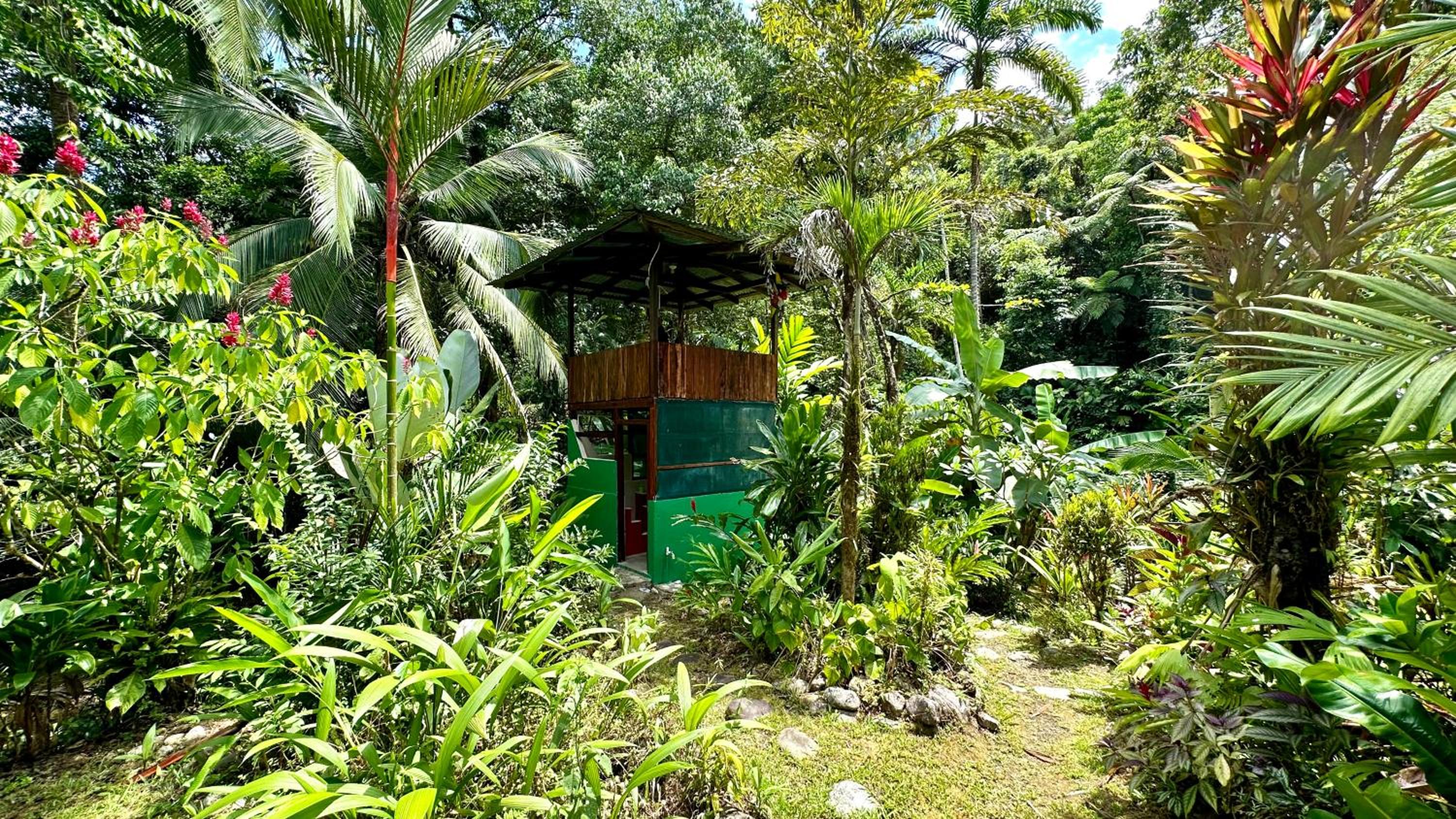 Casa Aire Libre - Jungle immersion - Natural pool - Waterfall