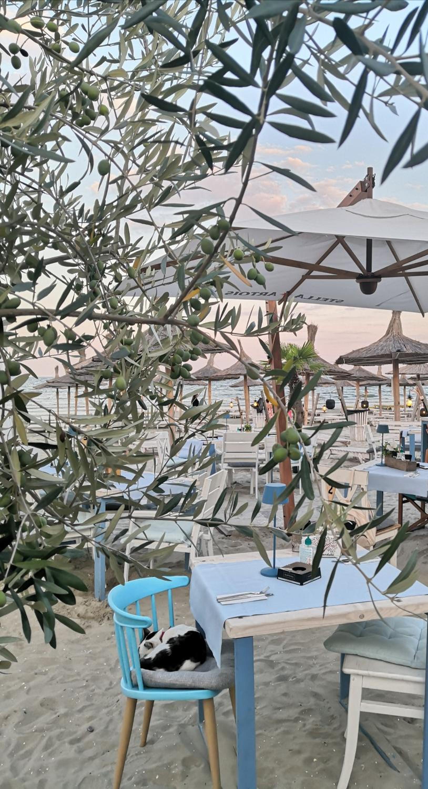 Apartament Giulia by Sea View Luxury Residence view 4