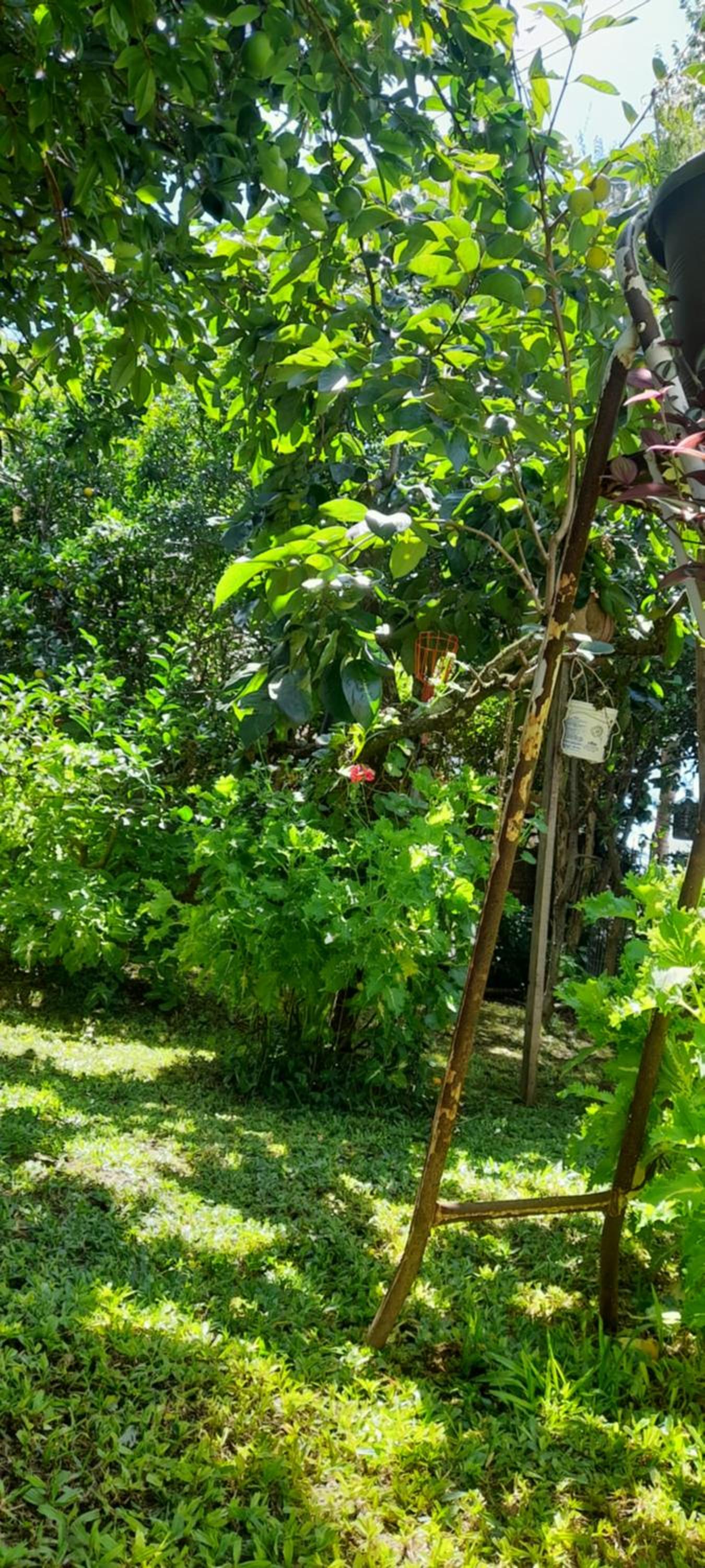 Casa Vista do Vale próxima ao Vale dos Vinhedos