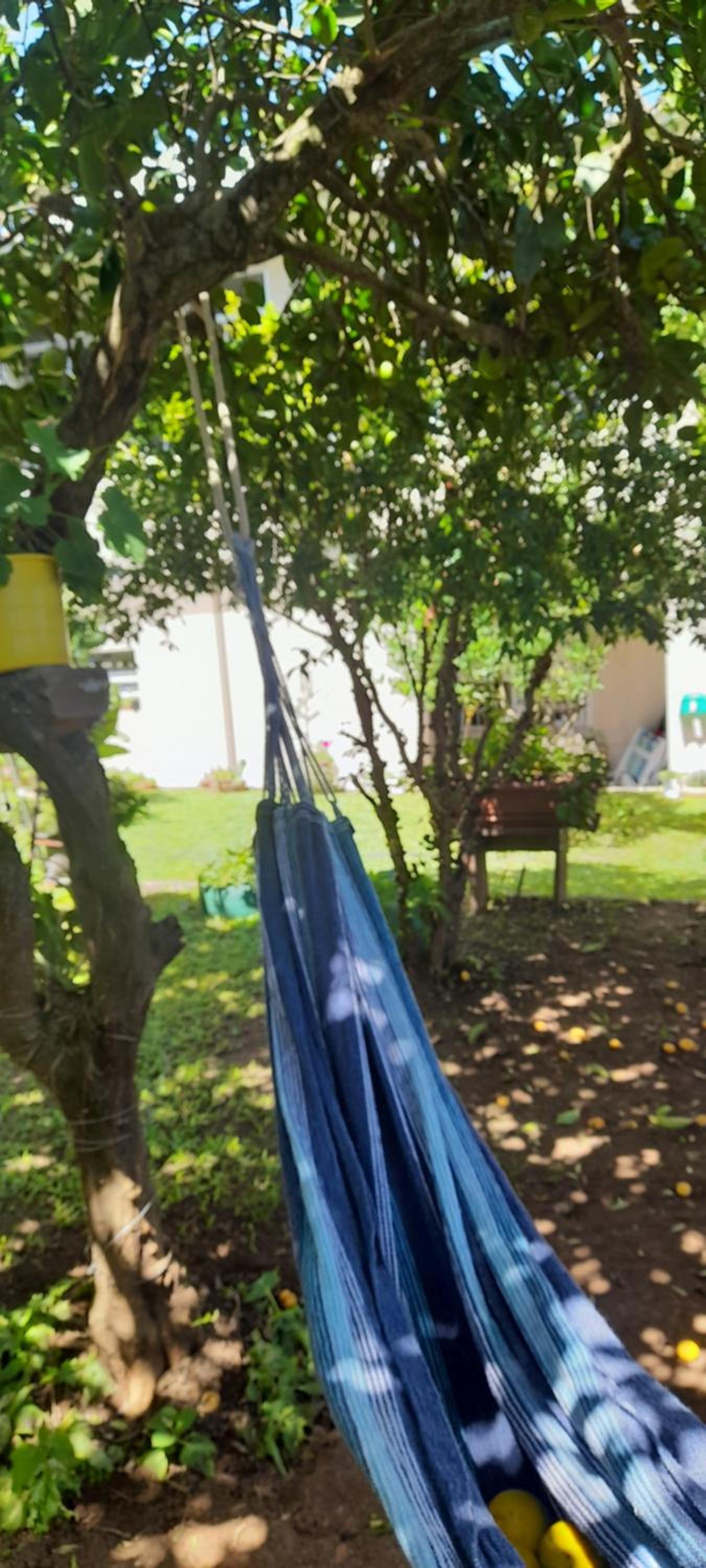 Casa Vista do Vale próxima ao Vale dos Vinhedos