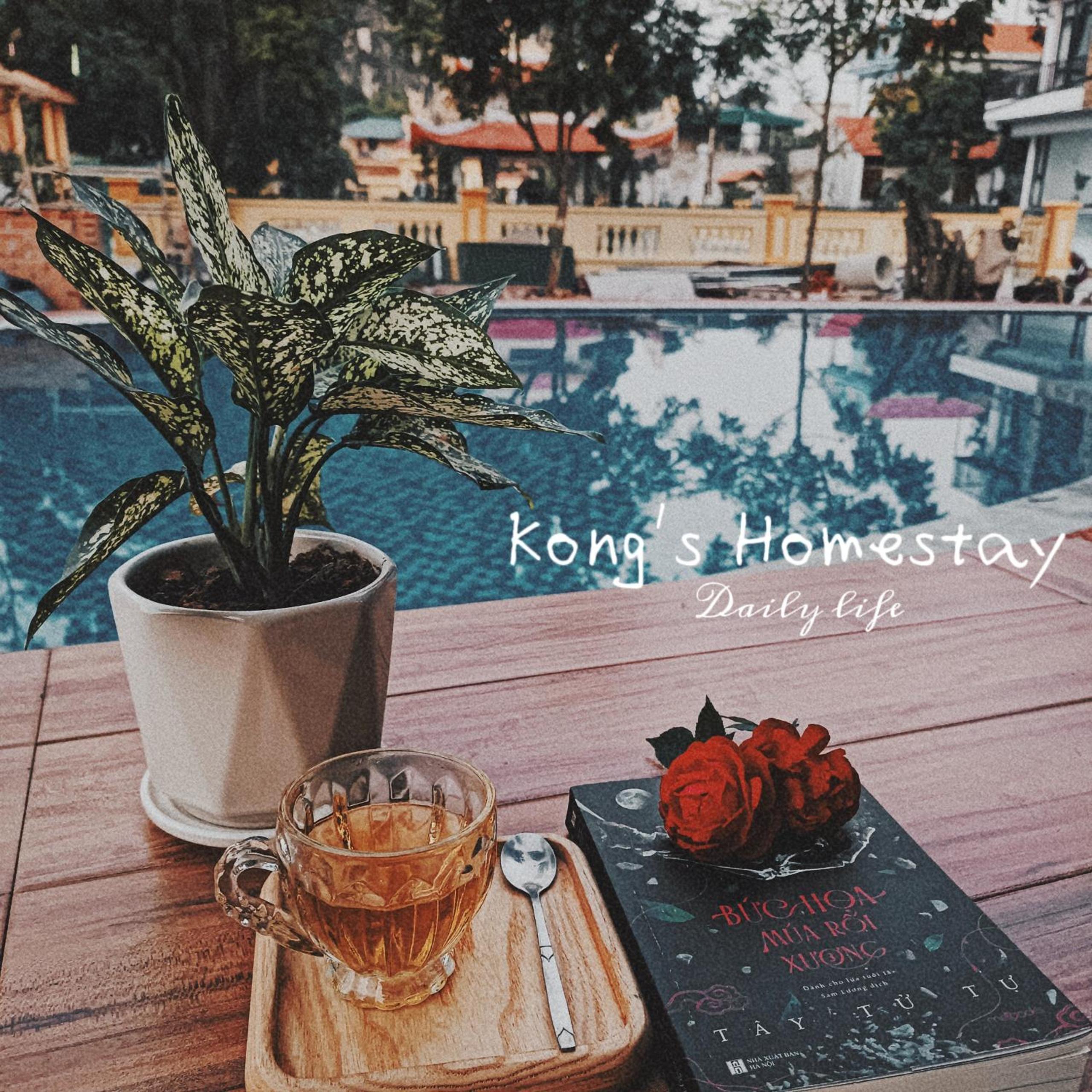 Ninh Binh Kong's Homestay view 2