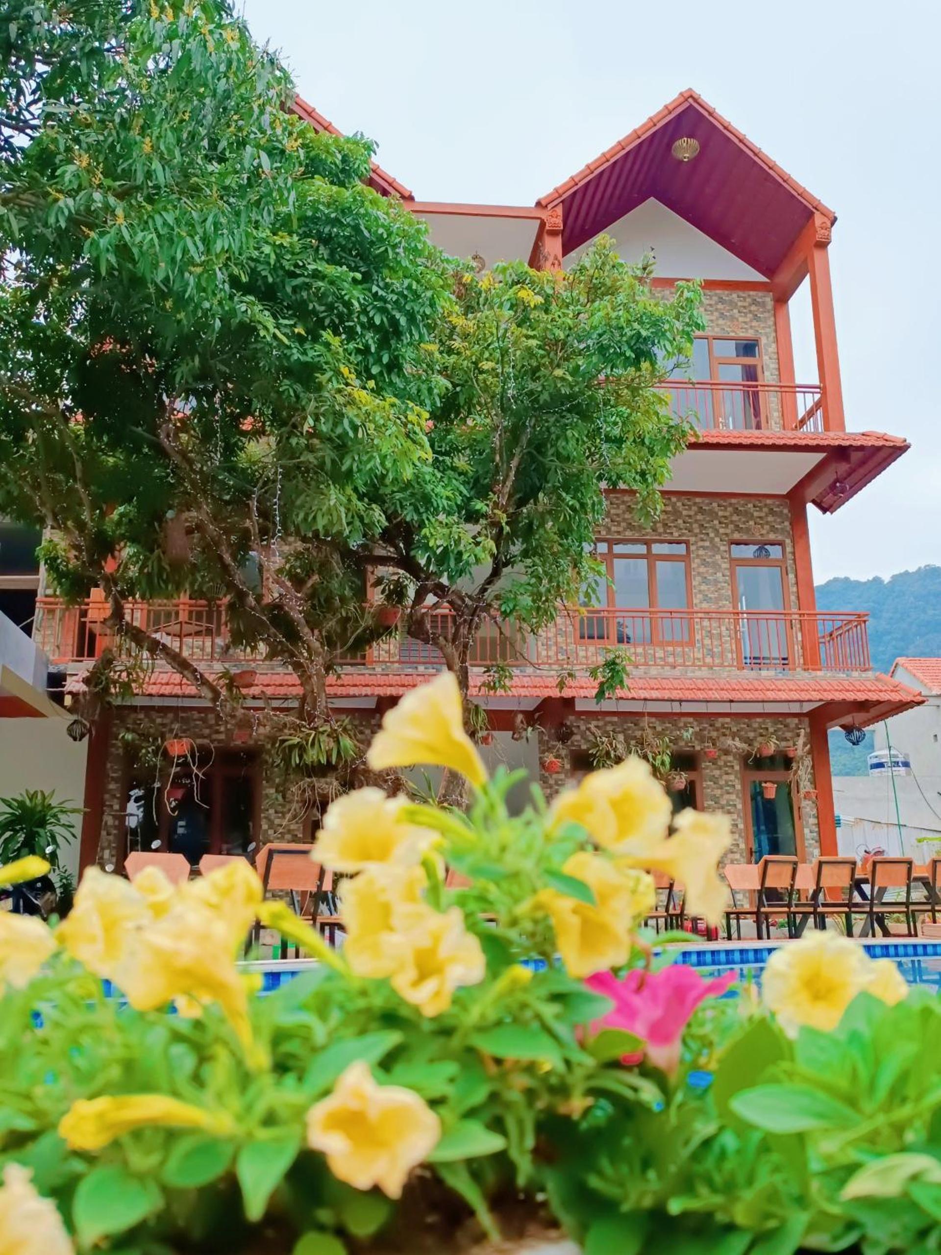 Ninh Binh Kong's Homestay view 3