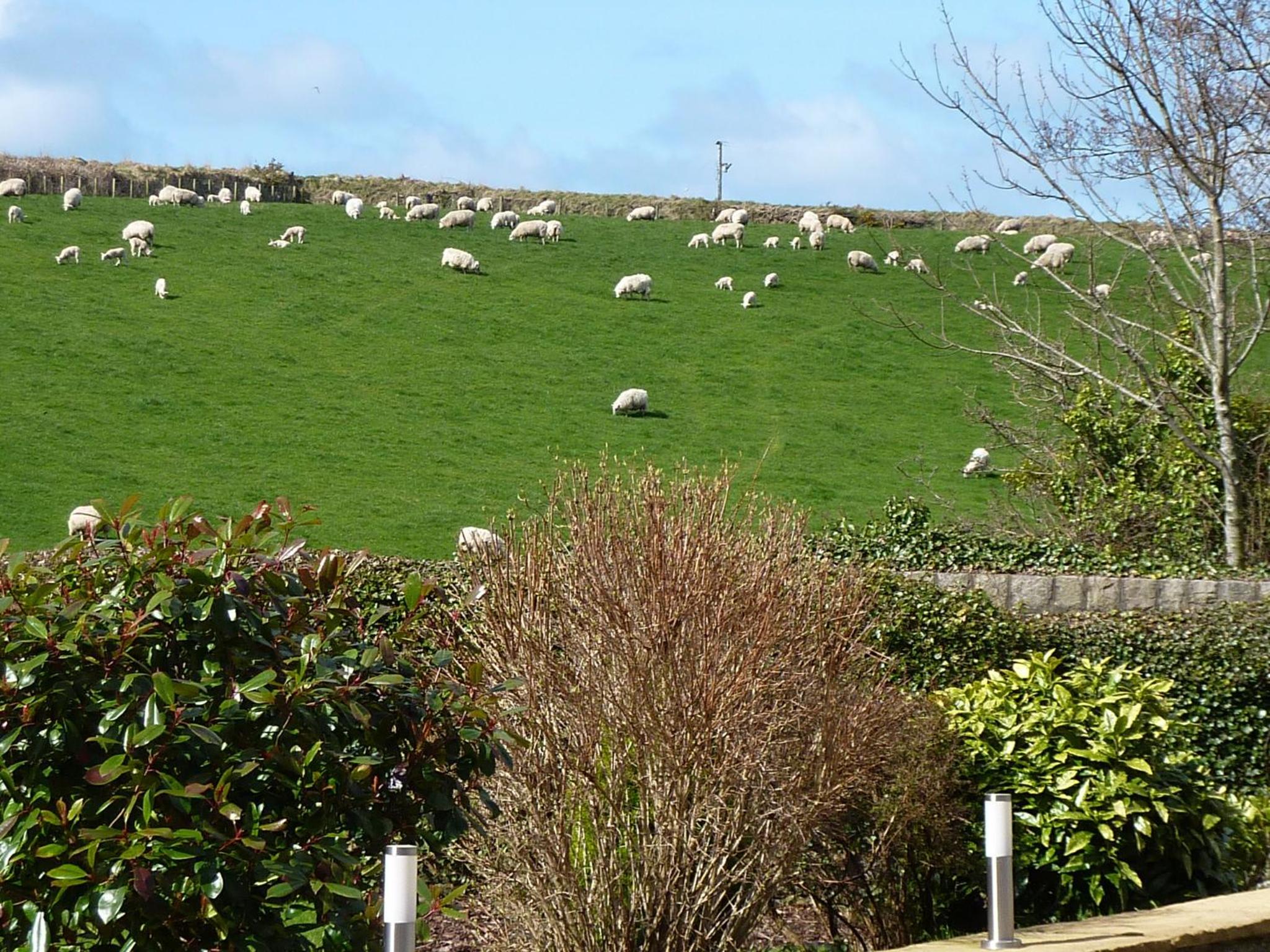Yr Hen Felin - The Old Mill B&B