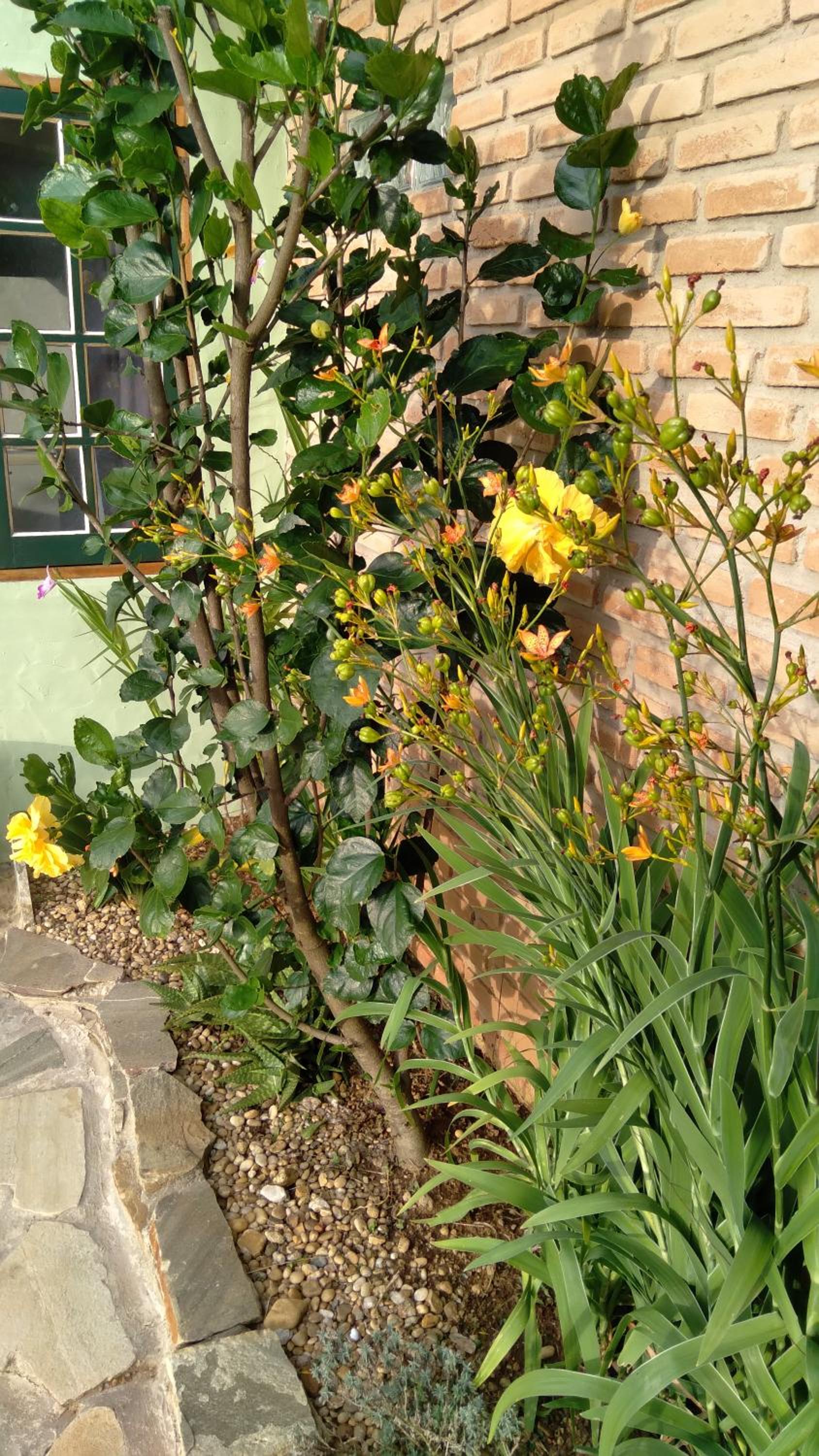 Photo 32