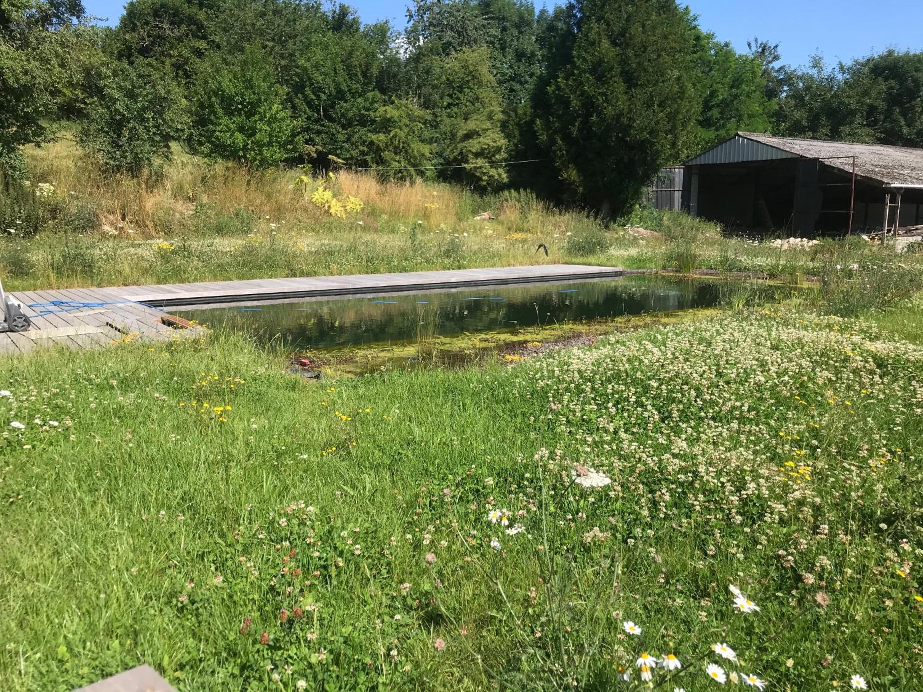 La ferme aux oiseaux B&B