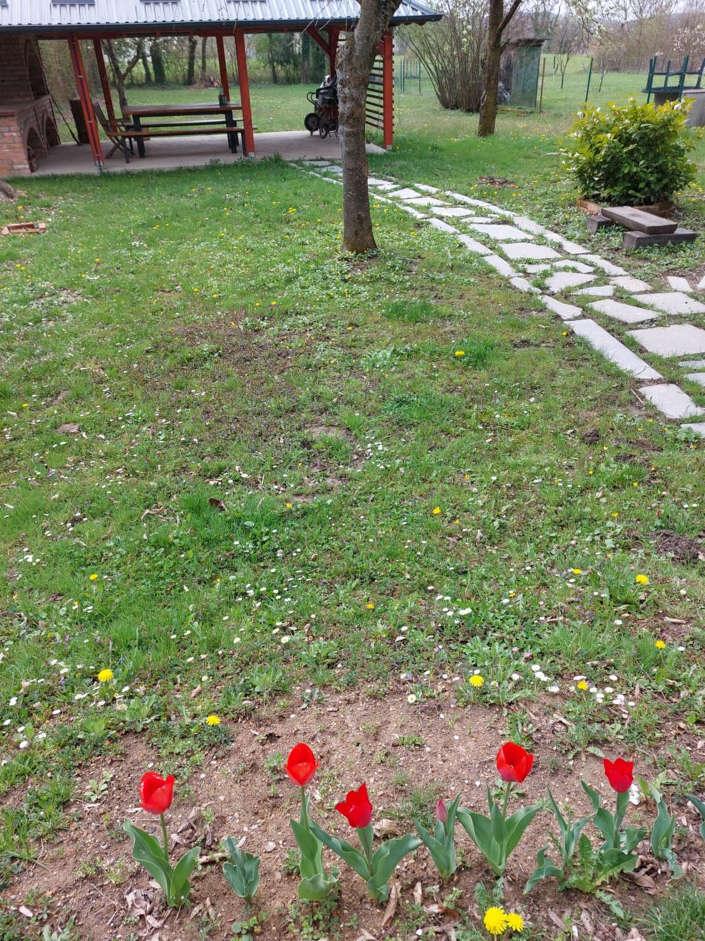 Photo 43