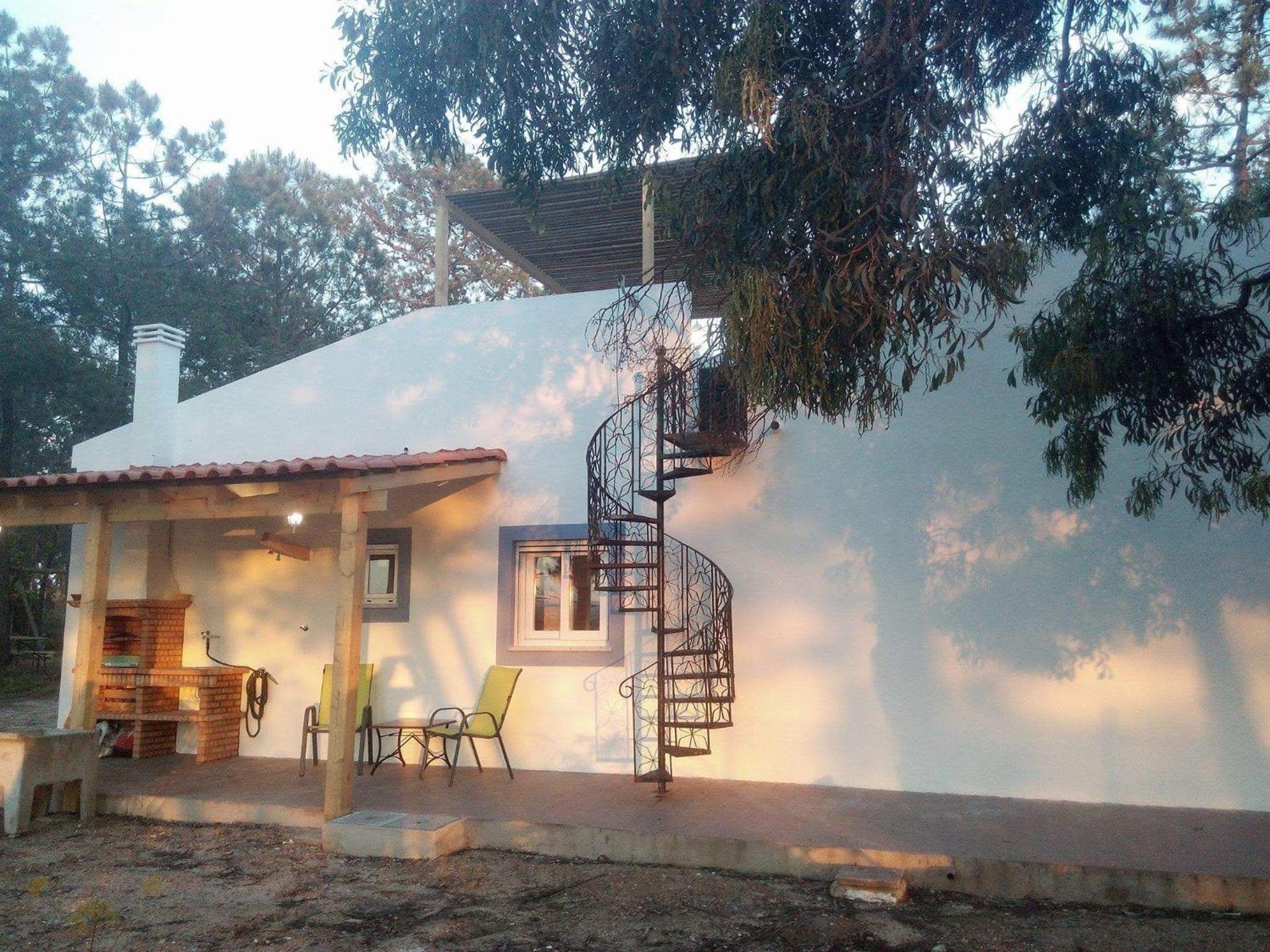Photo 43