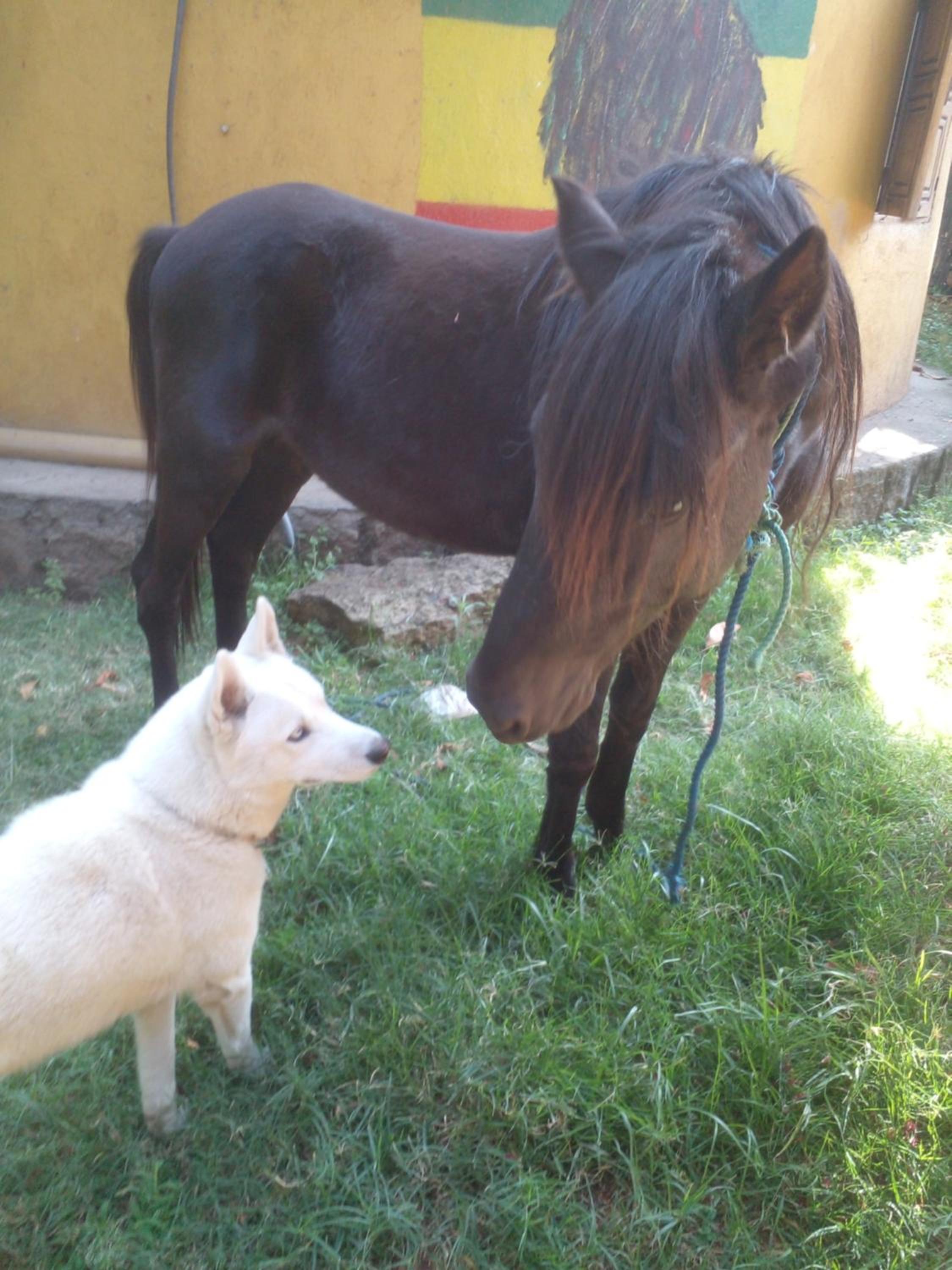 Photo 42