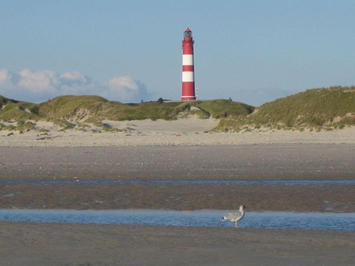 Schaar