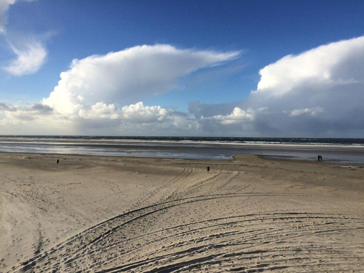 Schaar