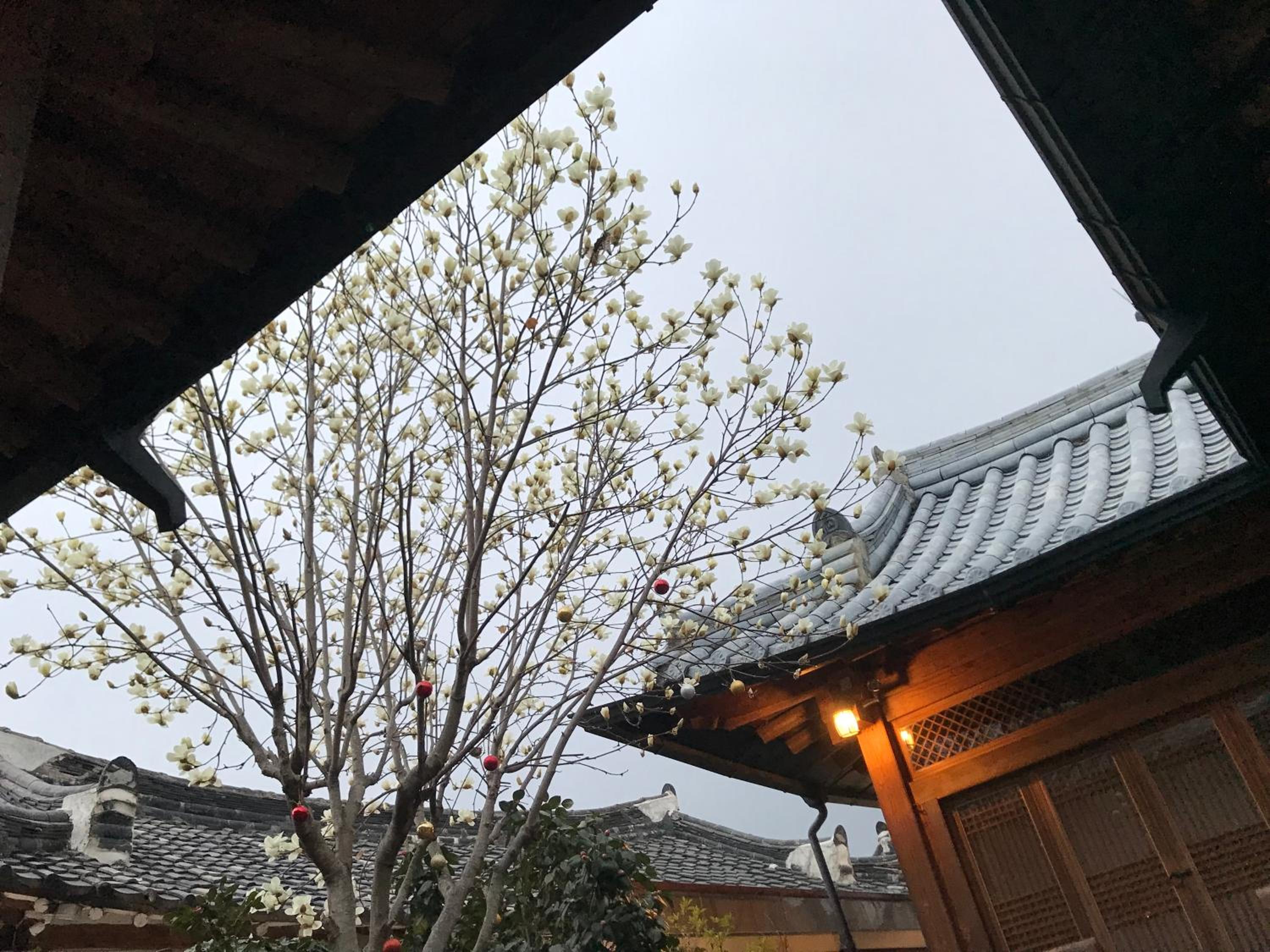 Sarangroo
