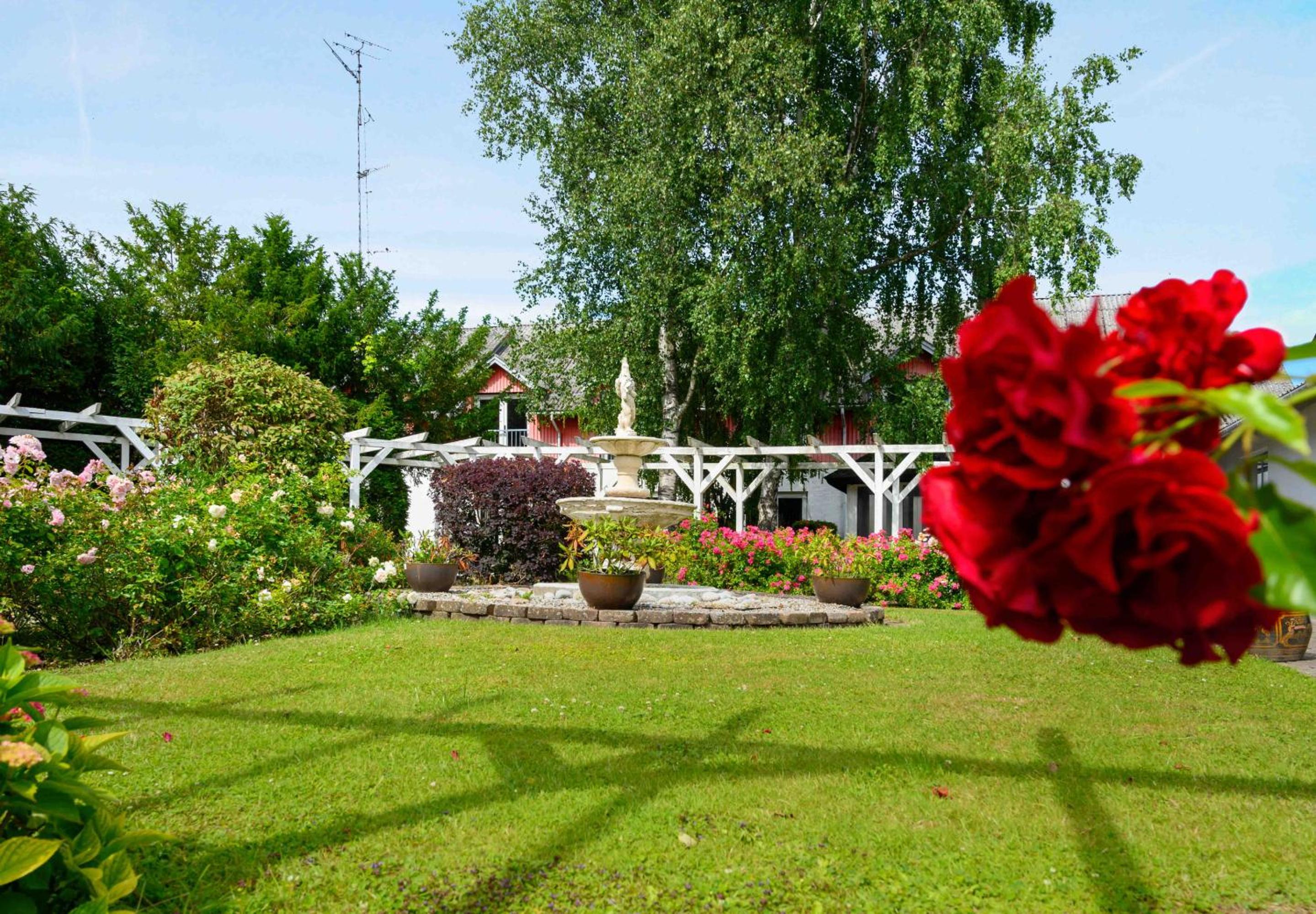 Photo 42