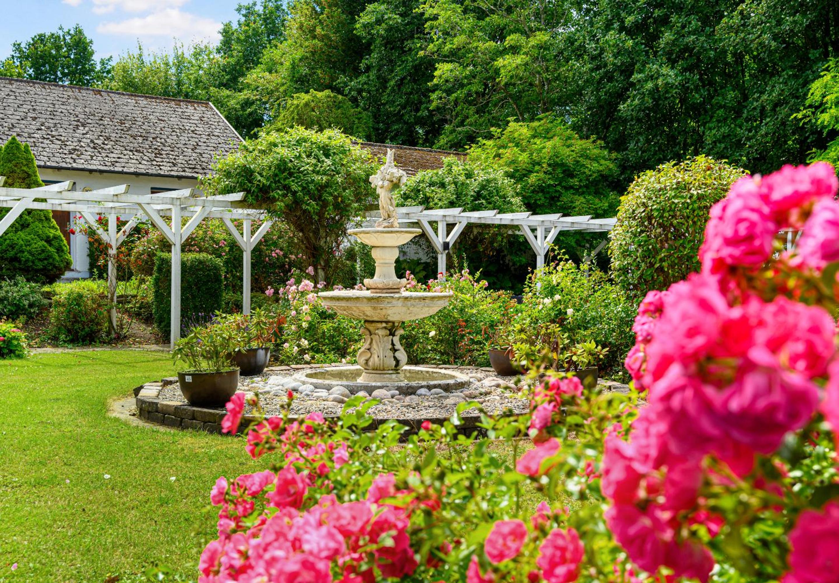 Photo 35