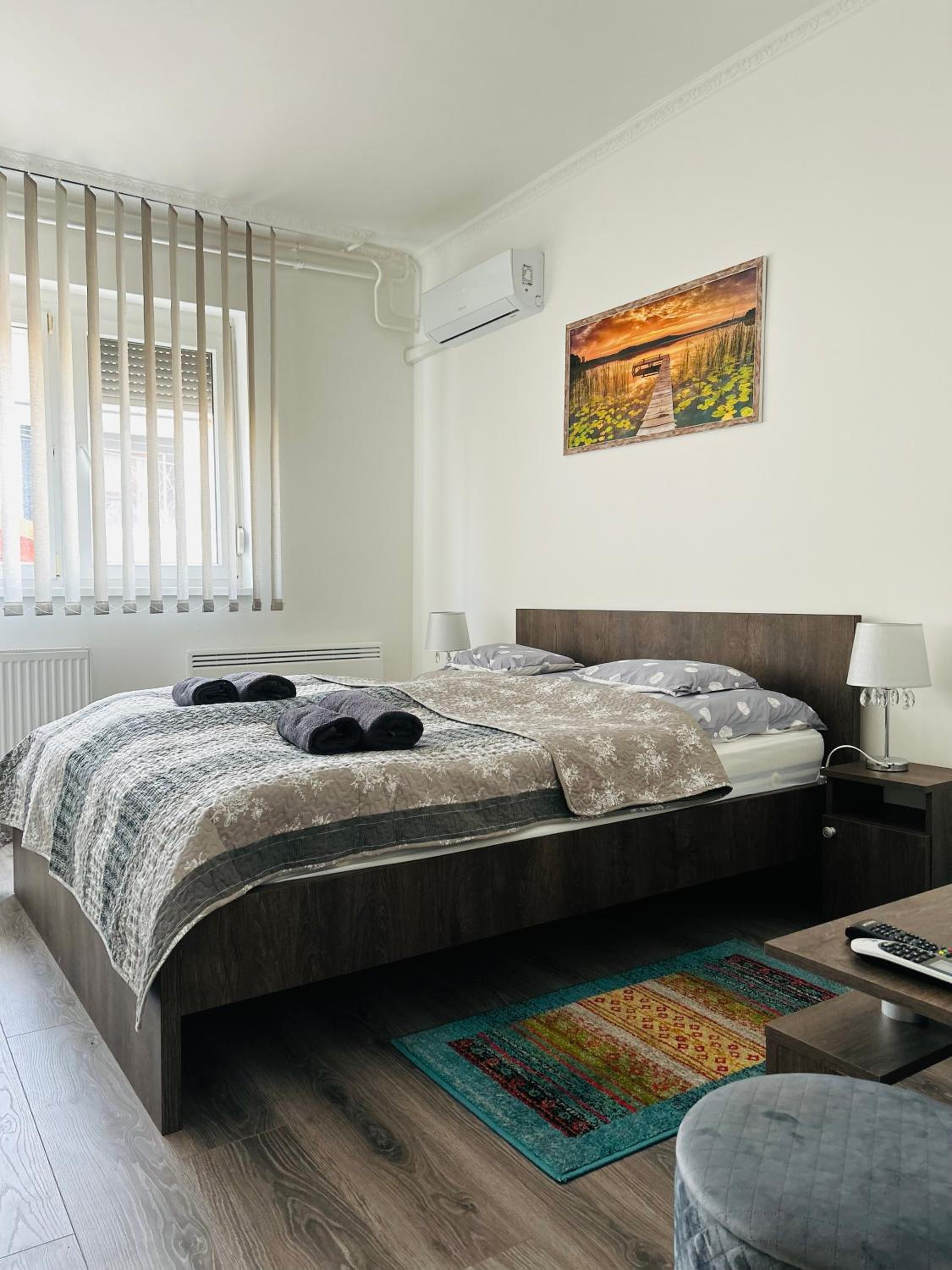 Erős Apartman view 3