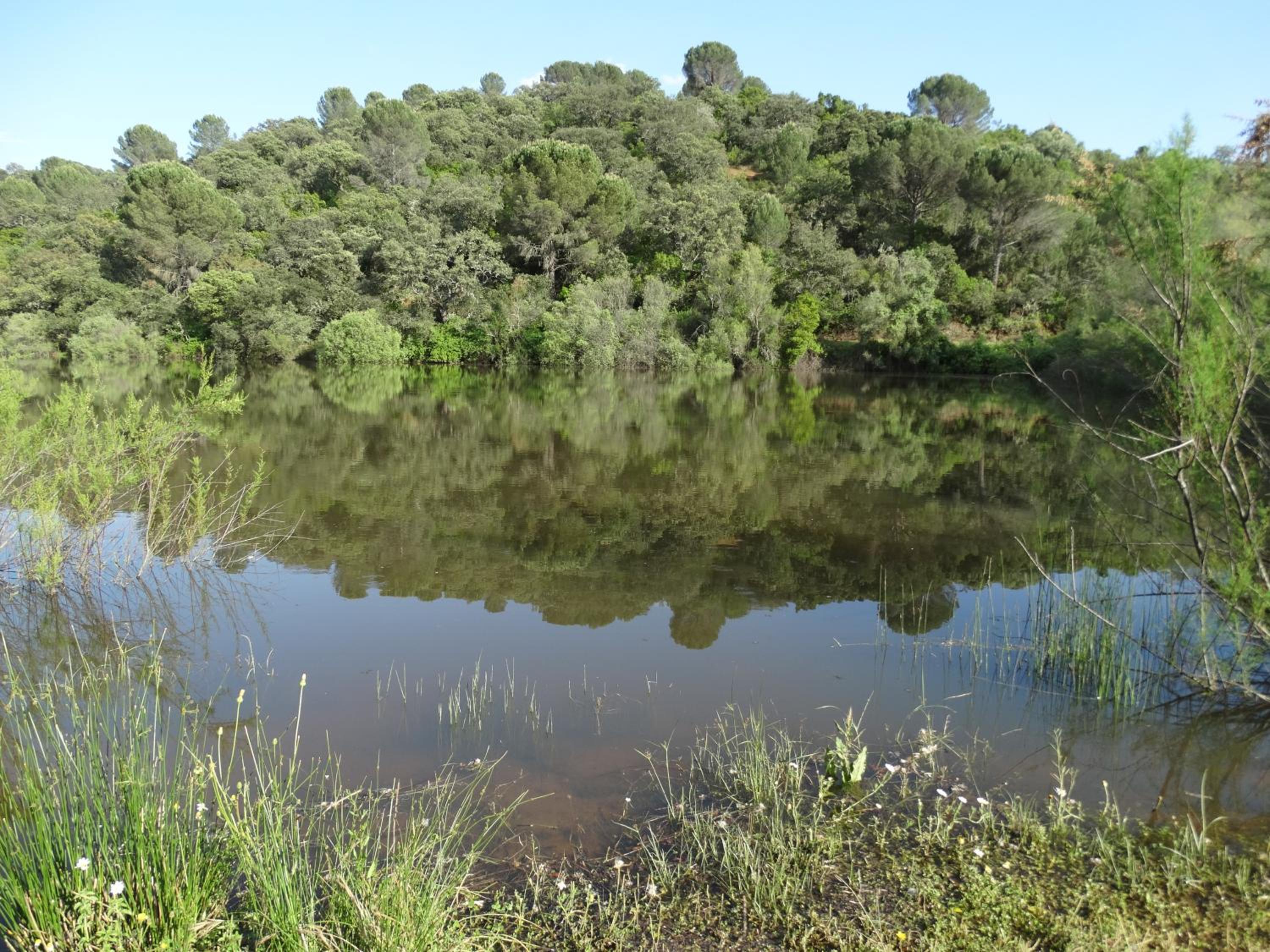 Cortijo La Priorita