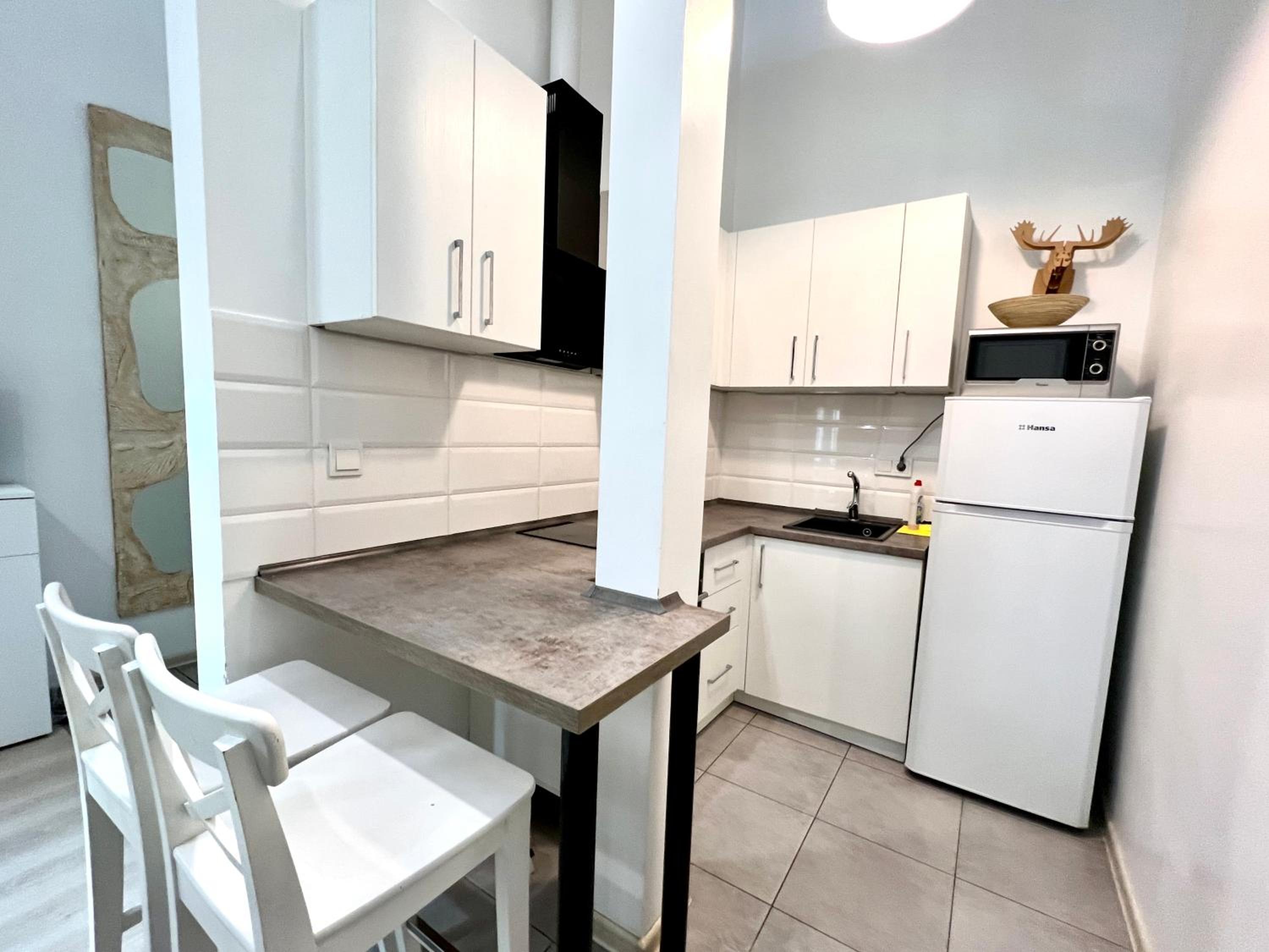 Kyiv White Apartment view 3