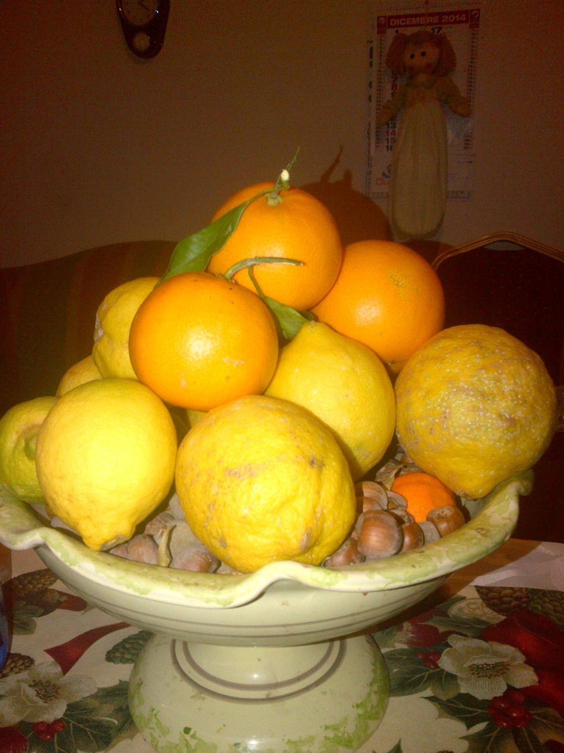 Photo 51