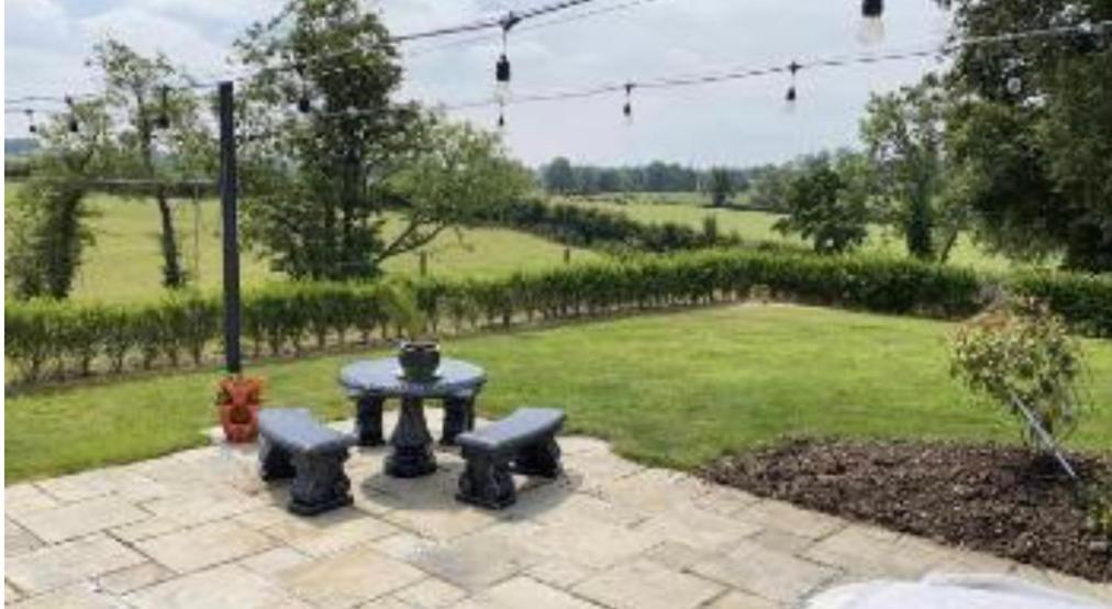 Field View