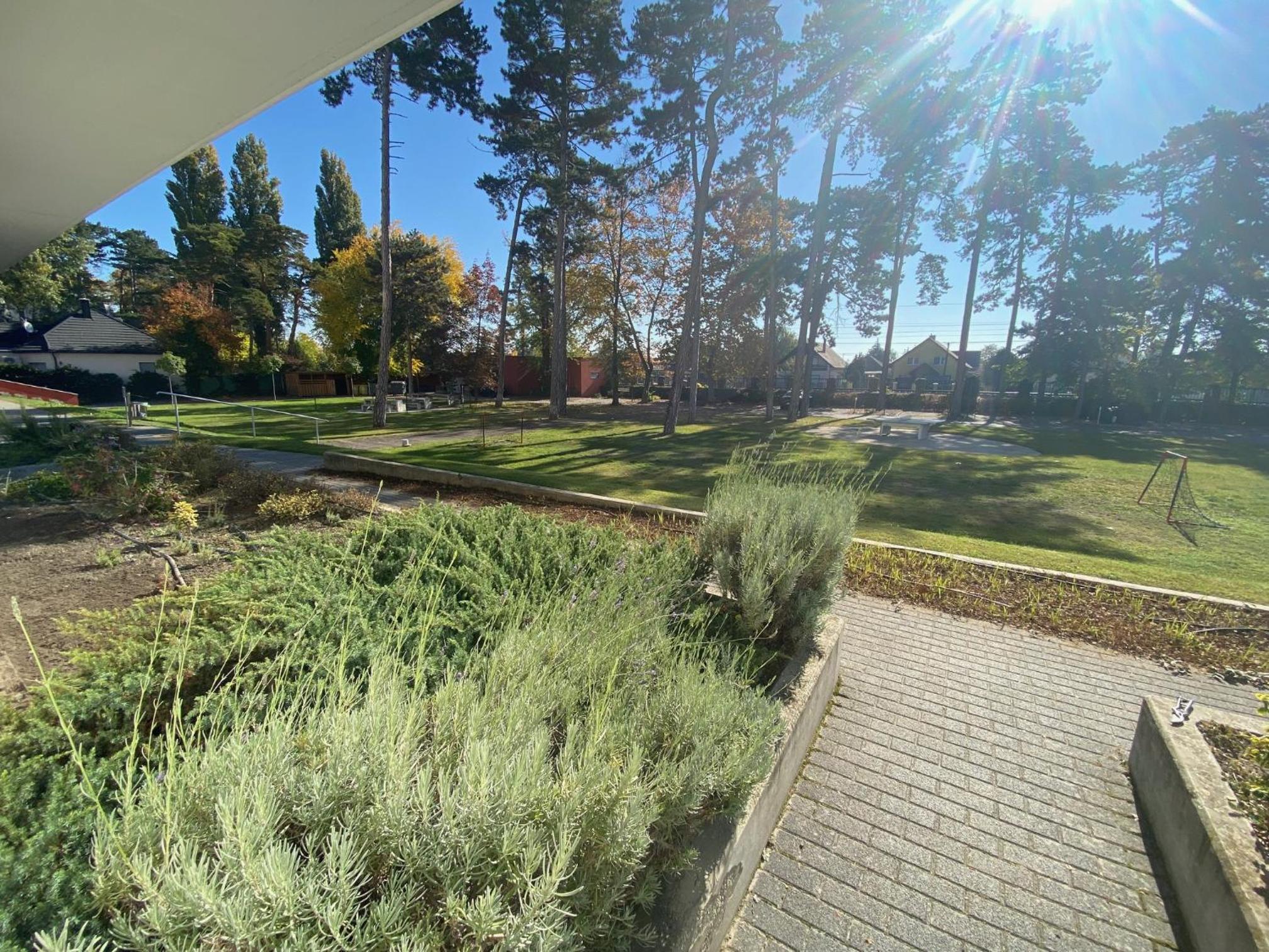 Photo 46