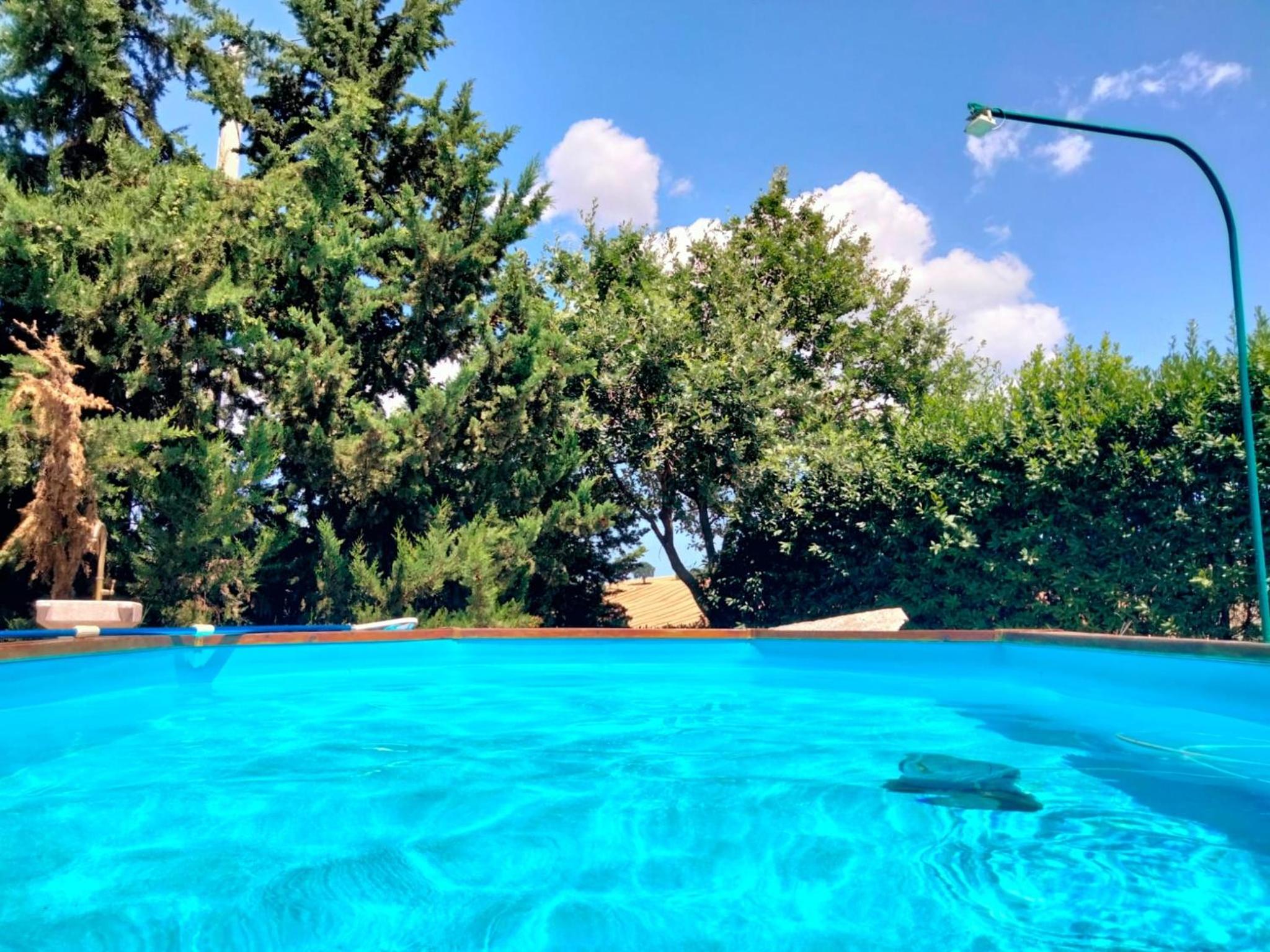 "La Casa degli ulivi Art B&B" view 2