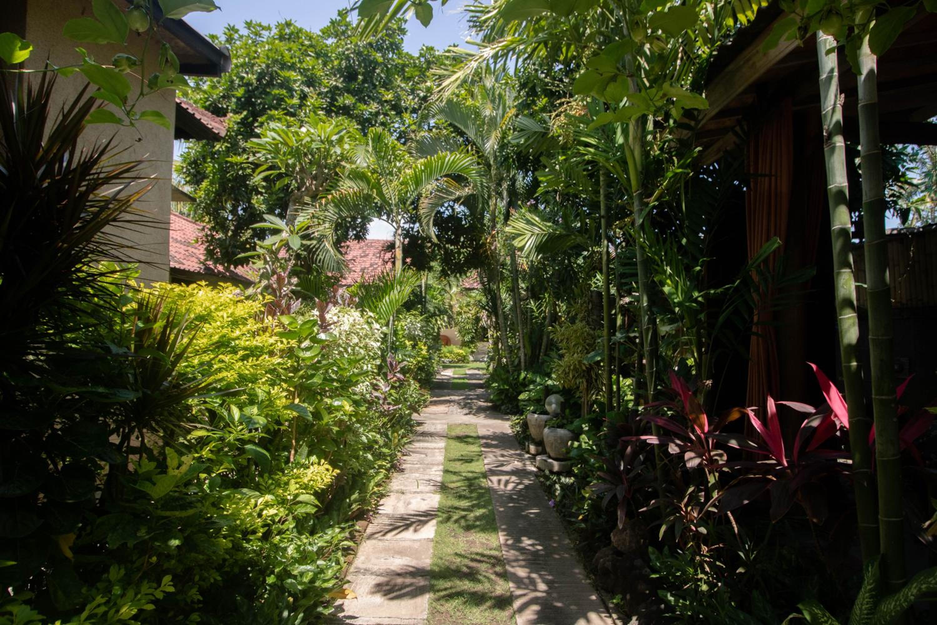 Giri Sari Guest House Pemuteran Bali view 2