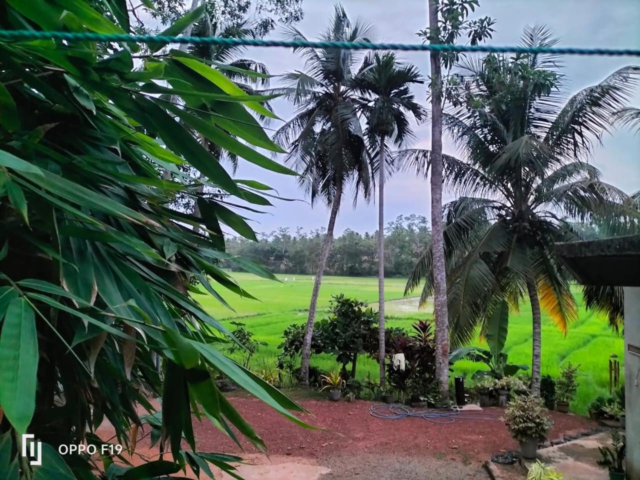 Heena villa view 2
