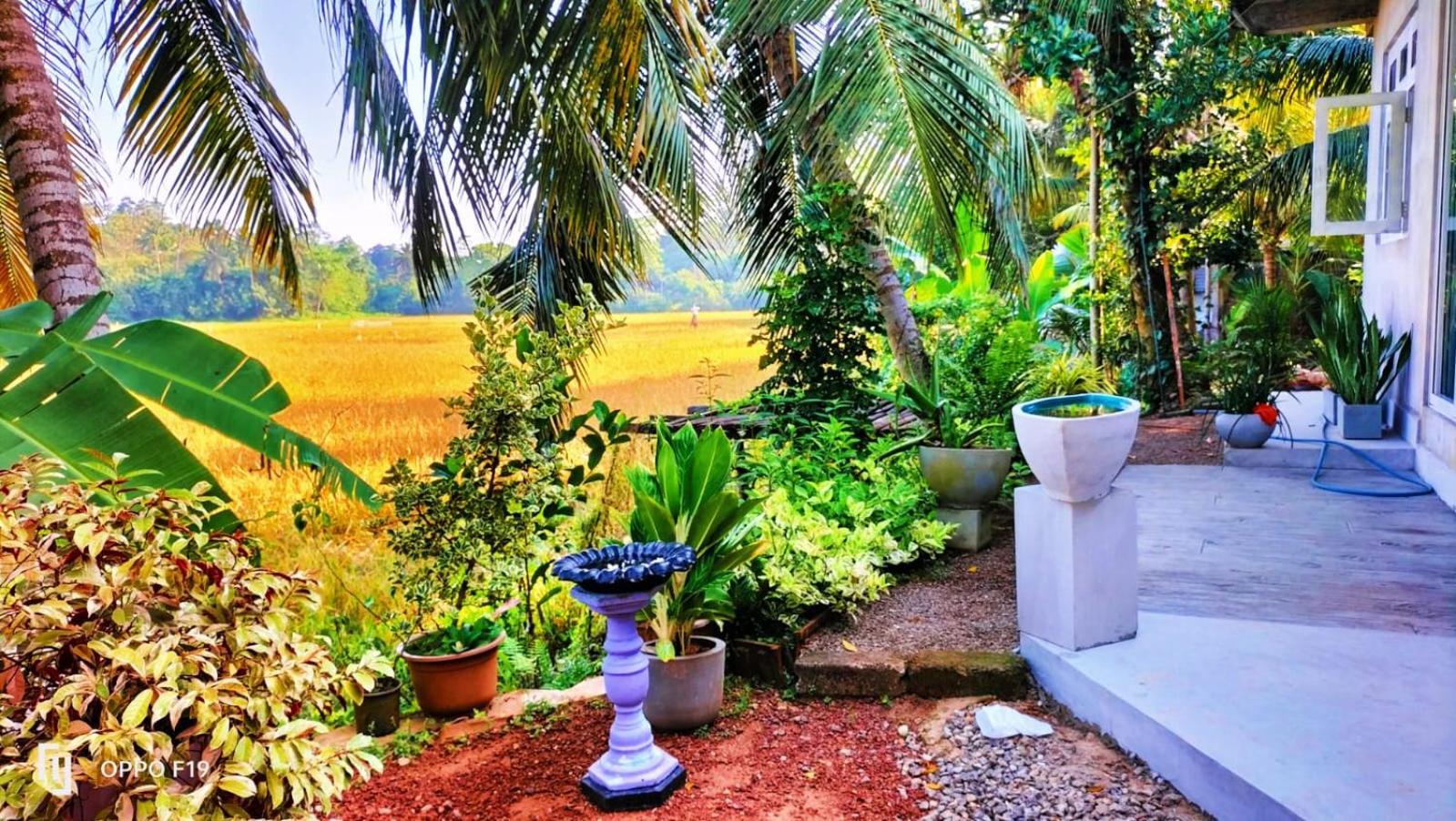 Heena villa view 5