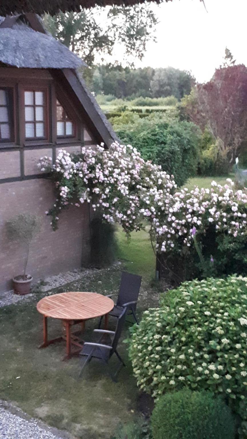 Boddenzauber