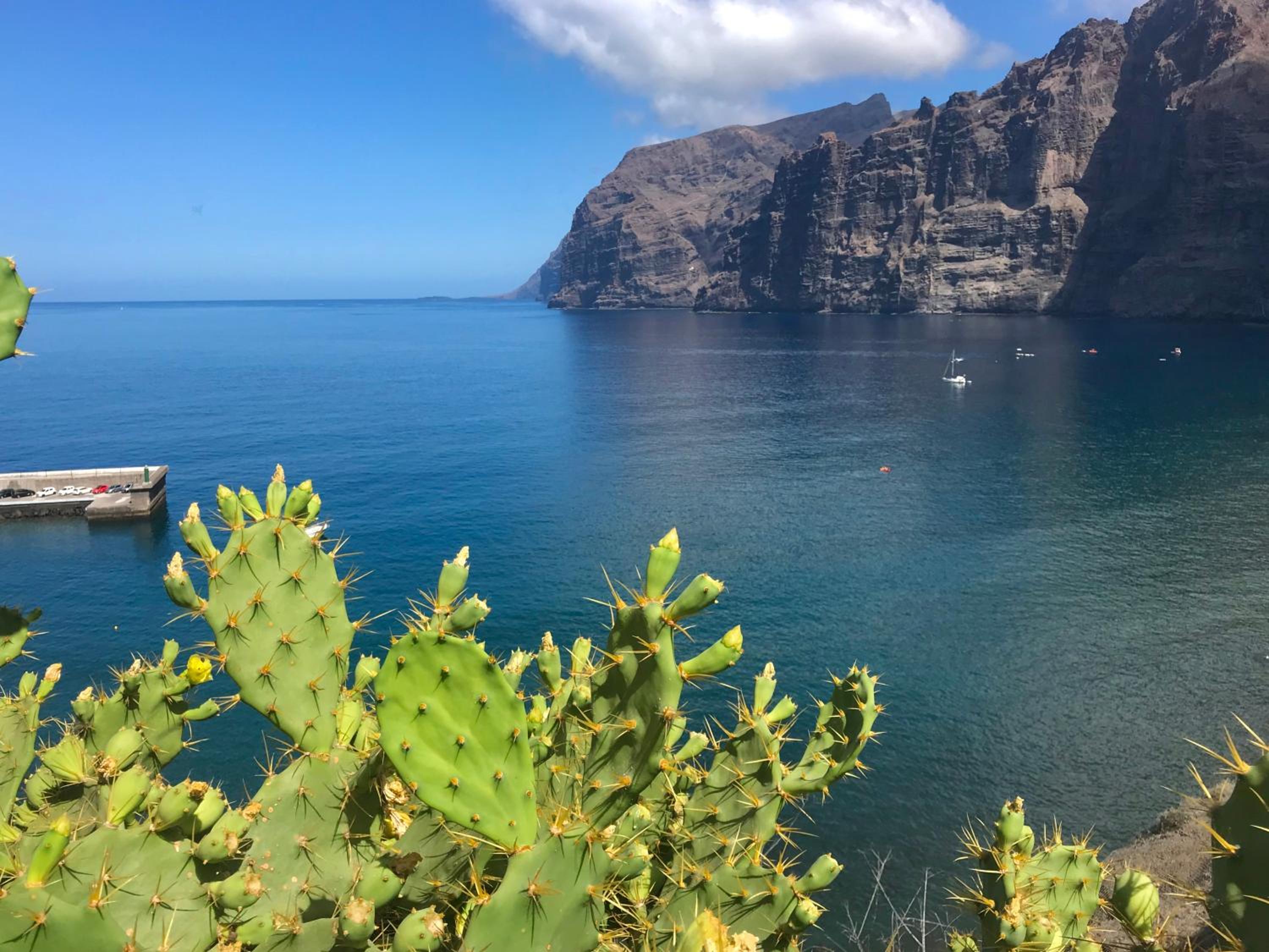 Apartment Theresa Los Gigantes