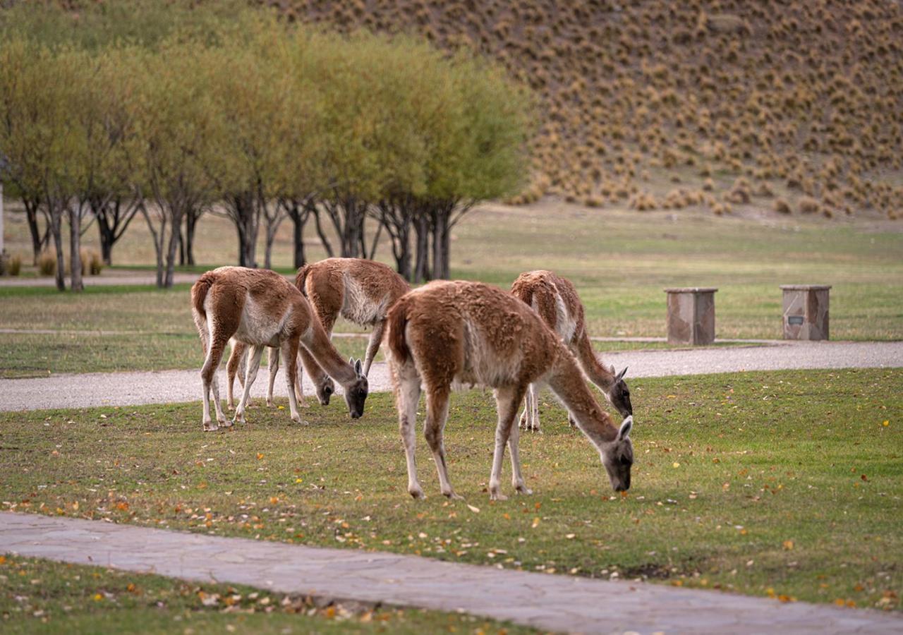 Explora en Parque Nacional Patagonia