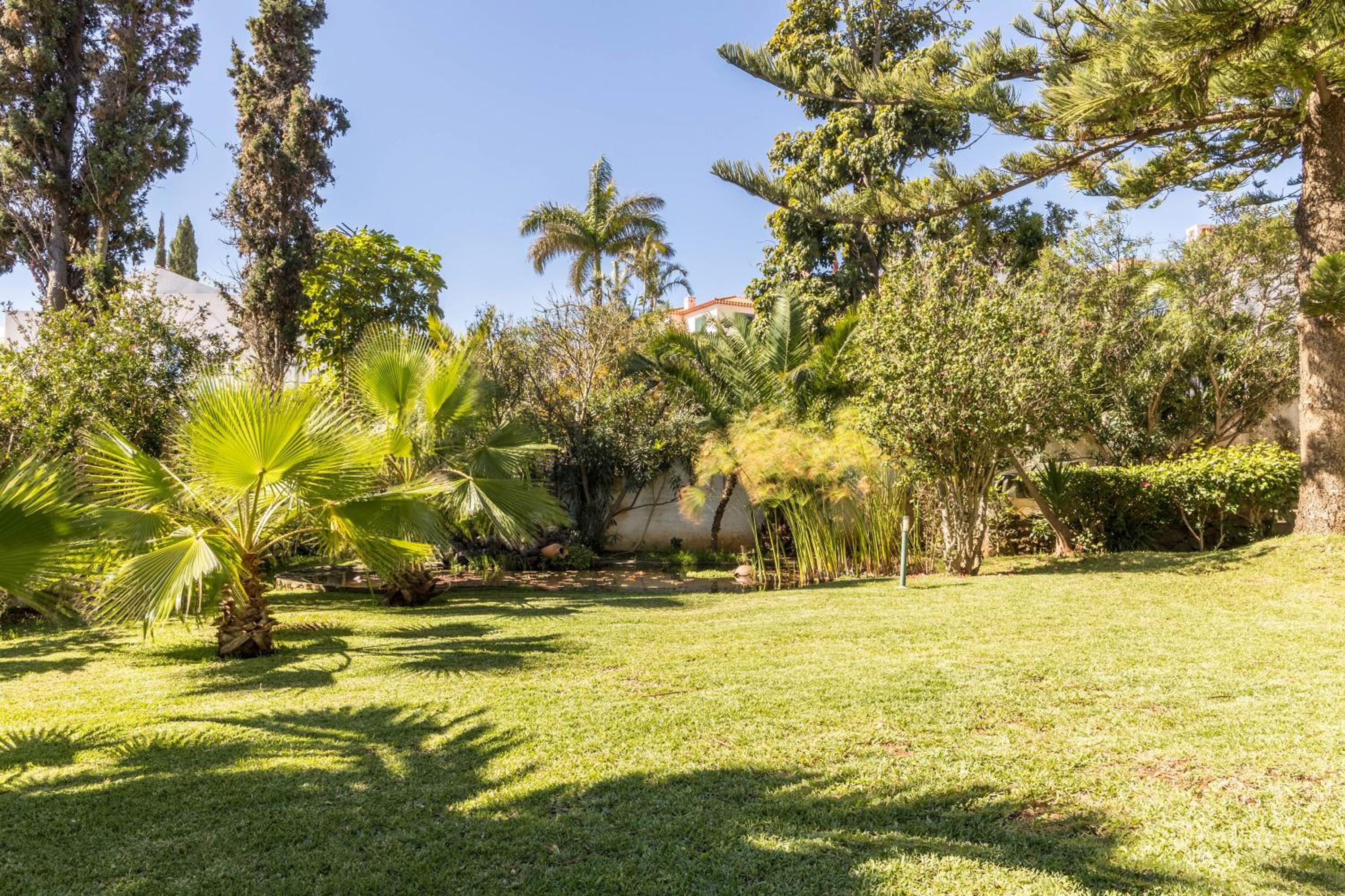 Villa Echium T2 view 3