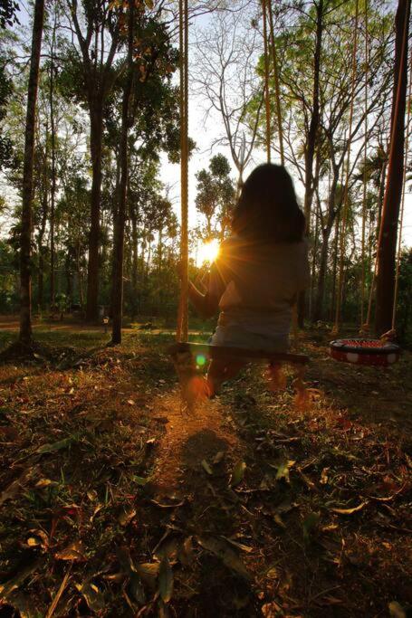 TreeSong Villa - Tranquil Forest Villa in Wayanad view 5