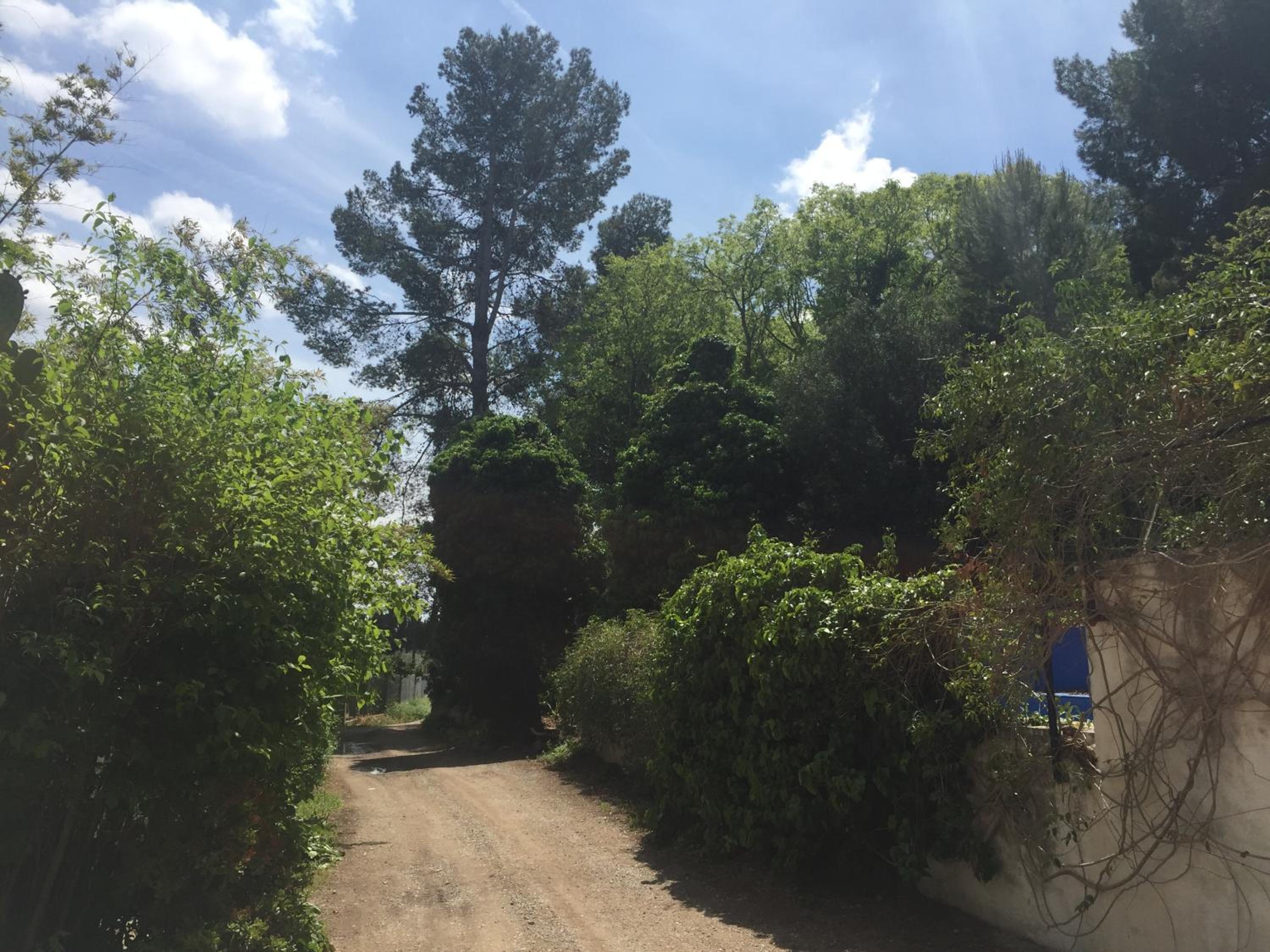 MASIA LA MOLINERA