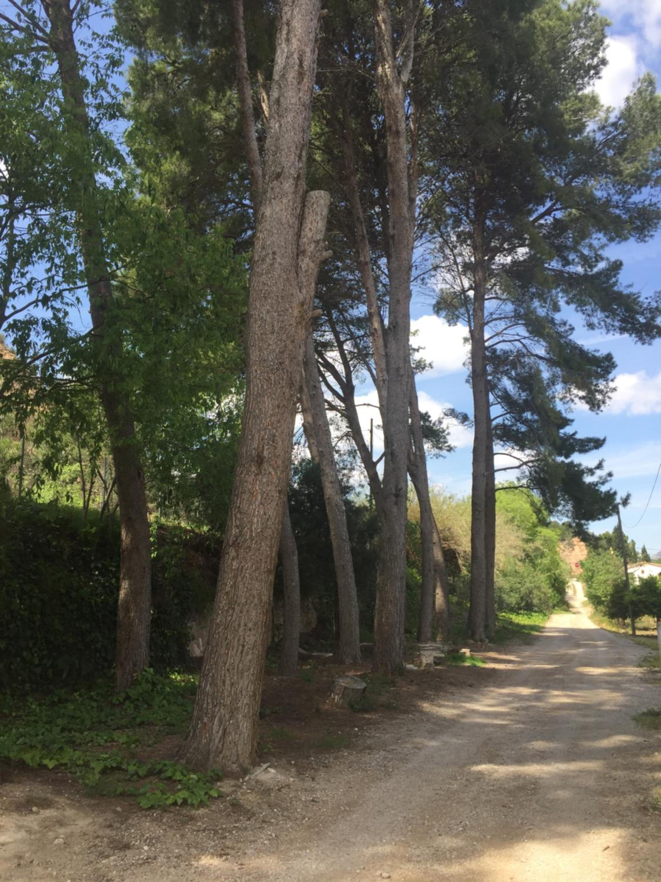 MASIA LA MOLINERA